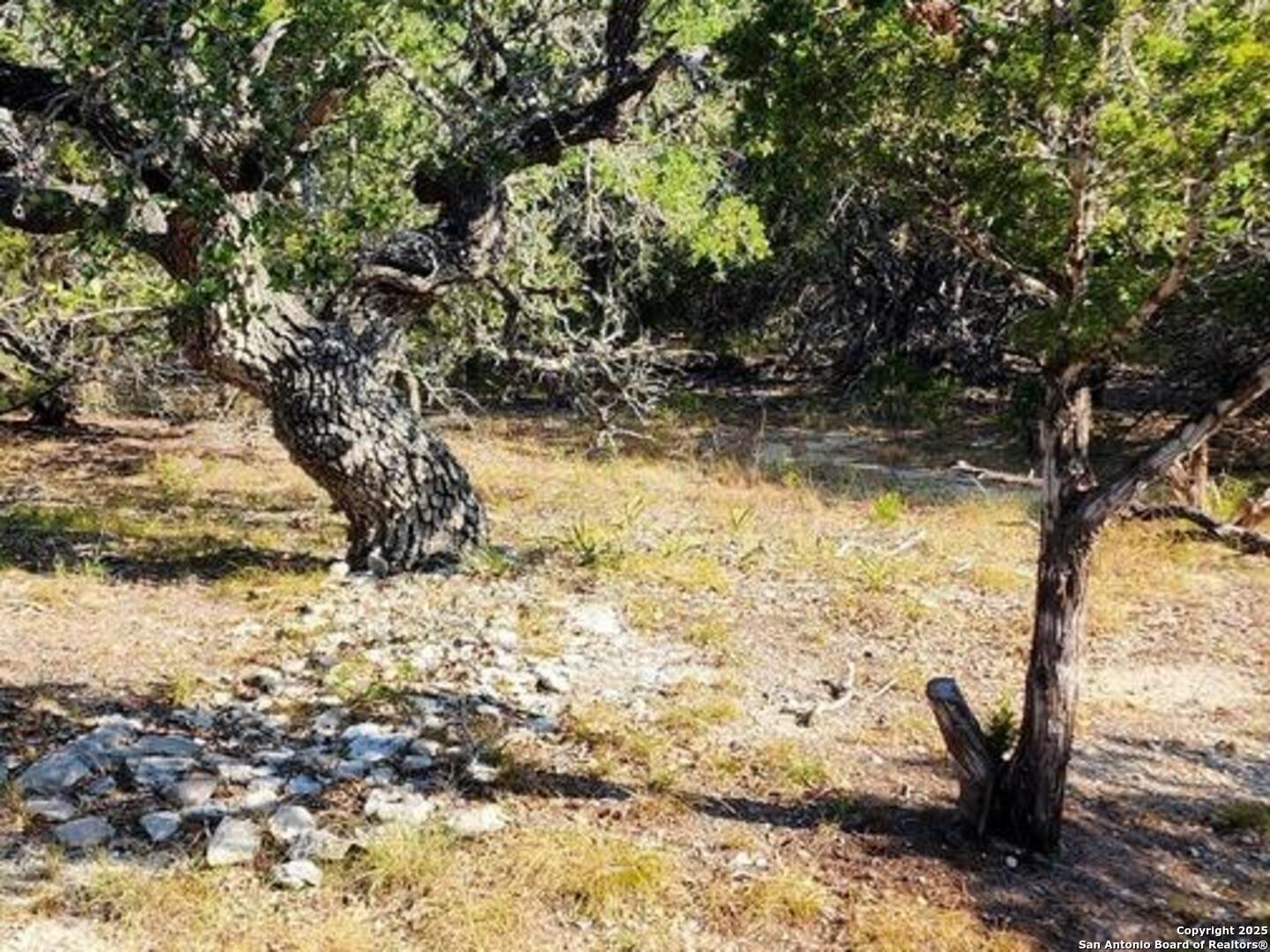 property viewer photo 5