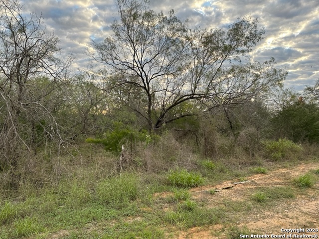 main property photo 6