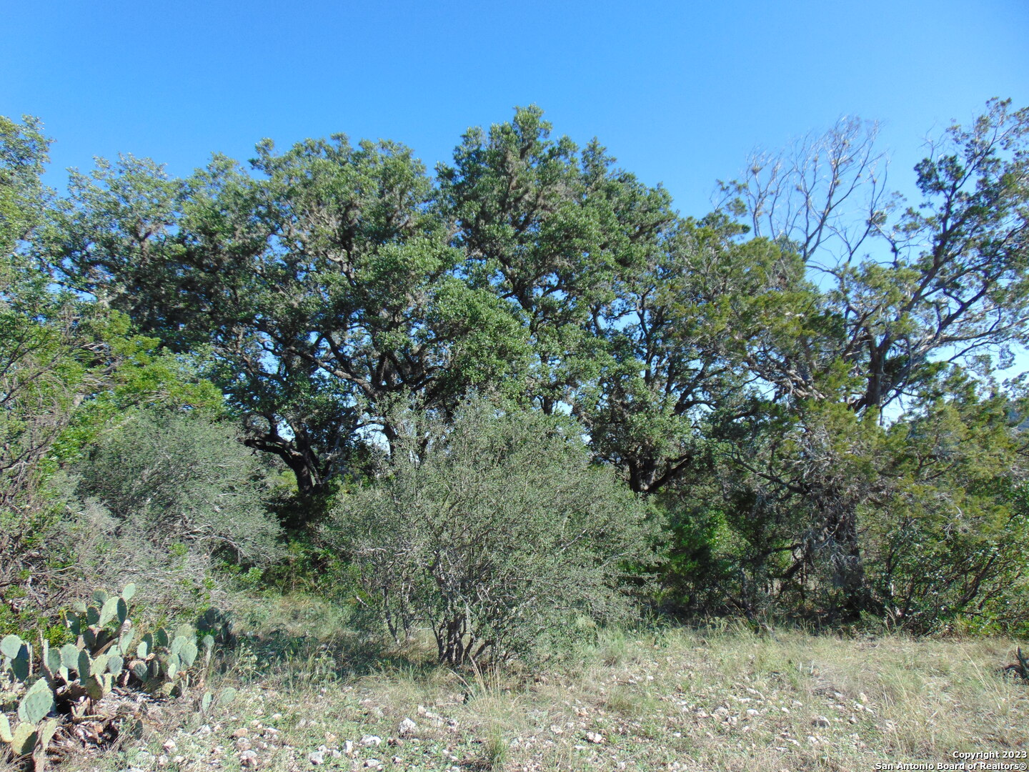 main property photo 7
