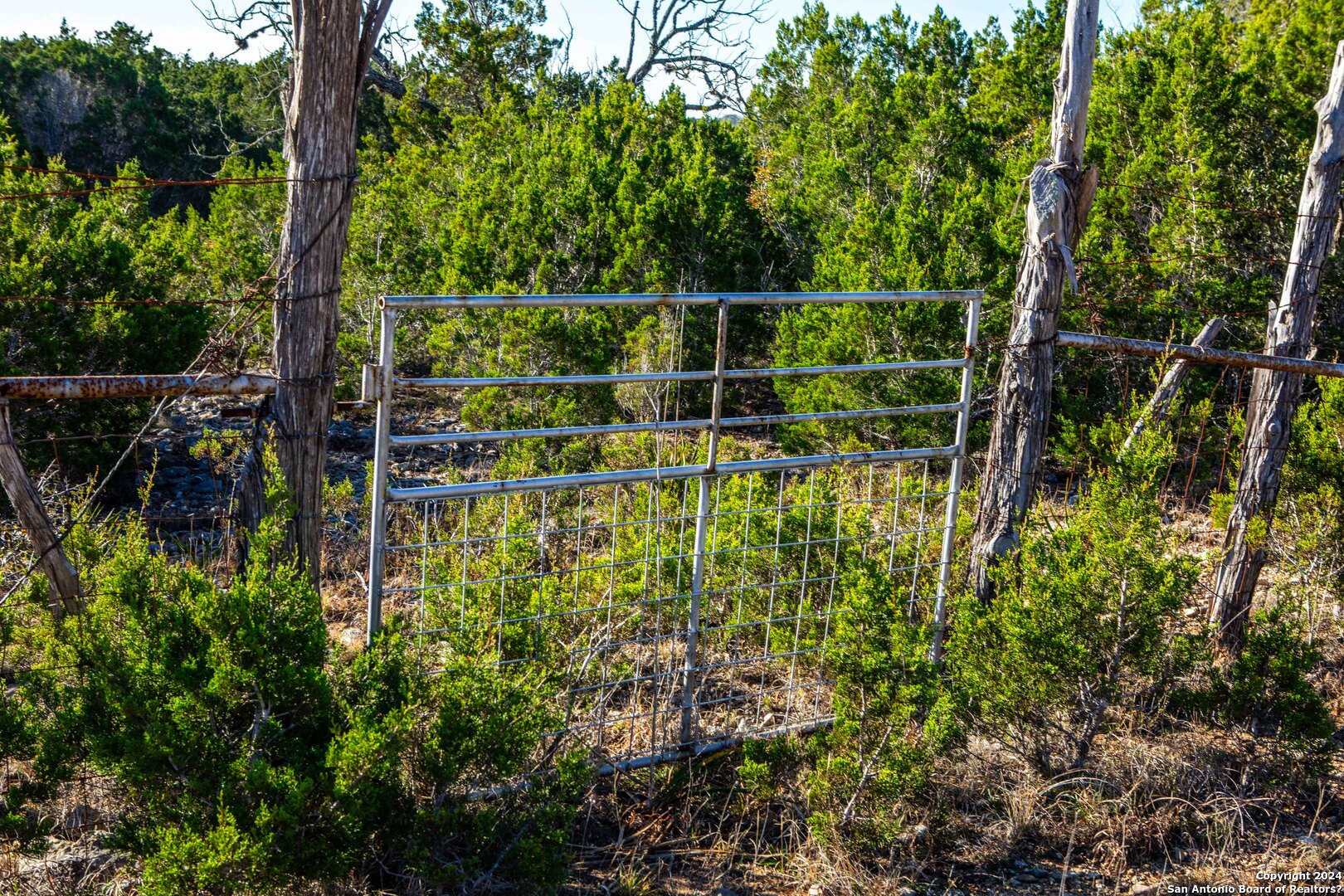 main property photo 20