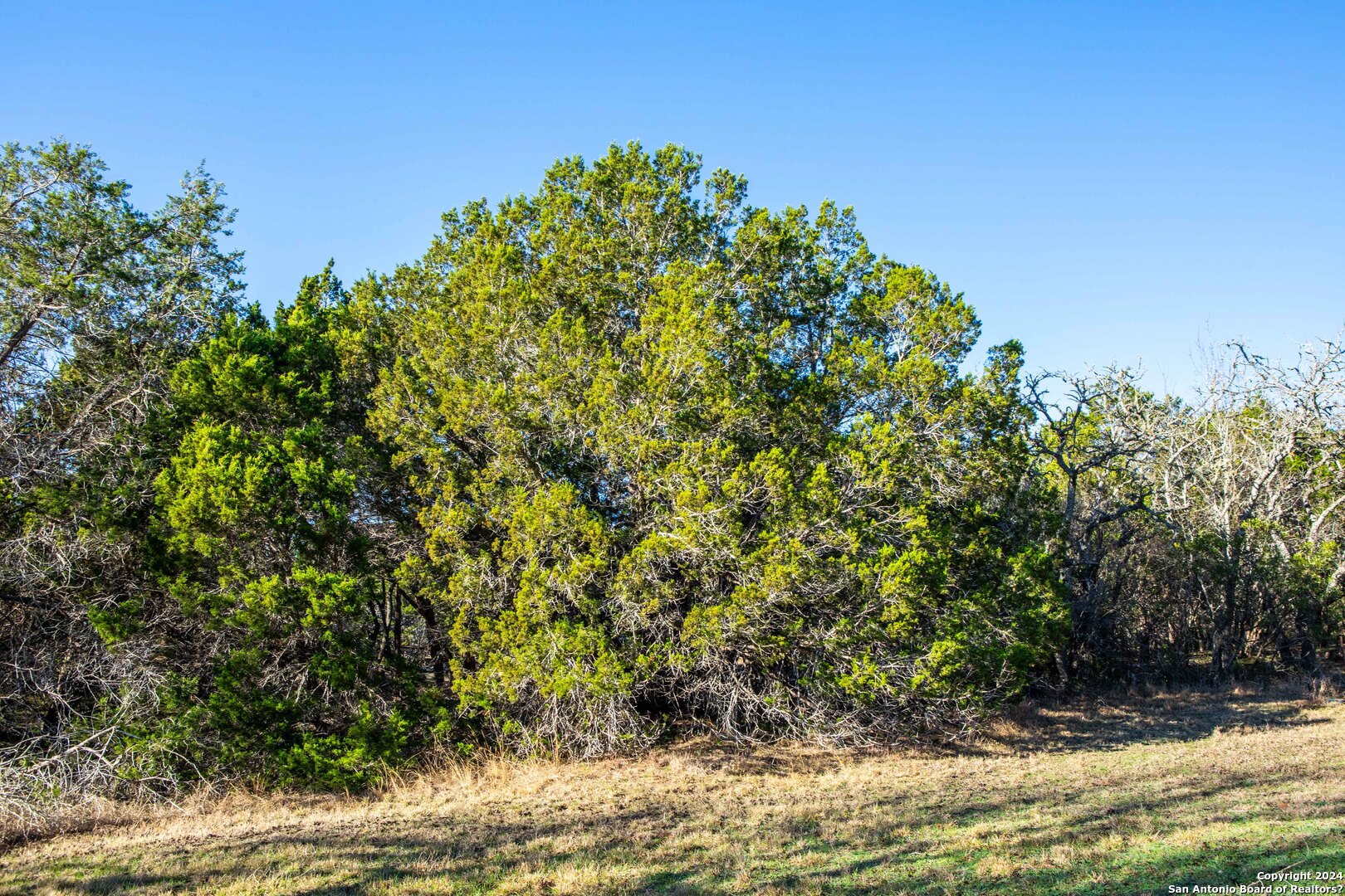 main property photo 21