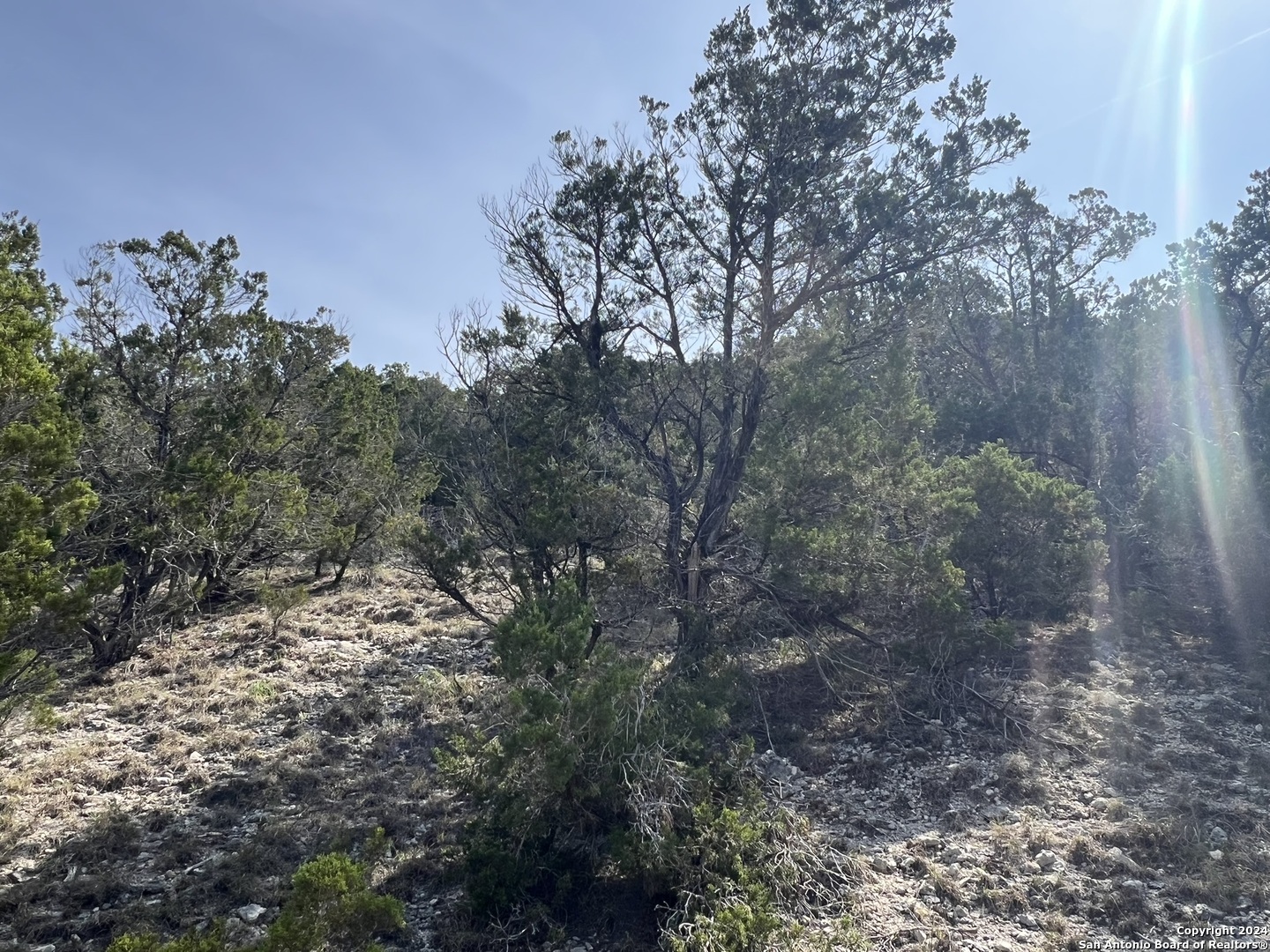 main property photo 18