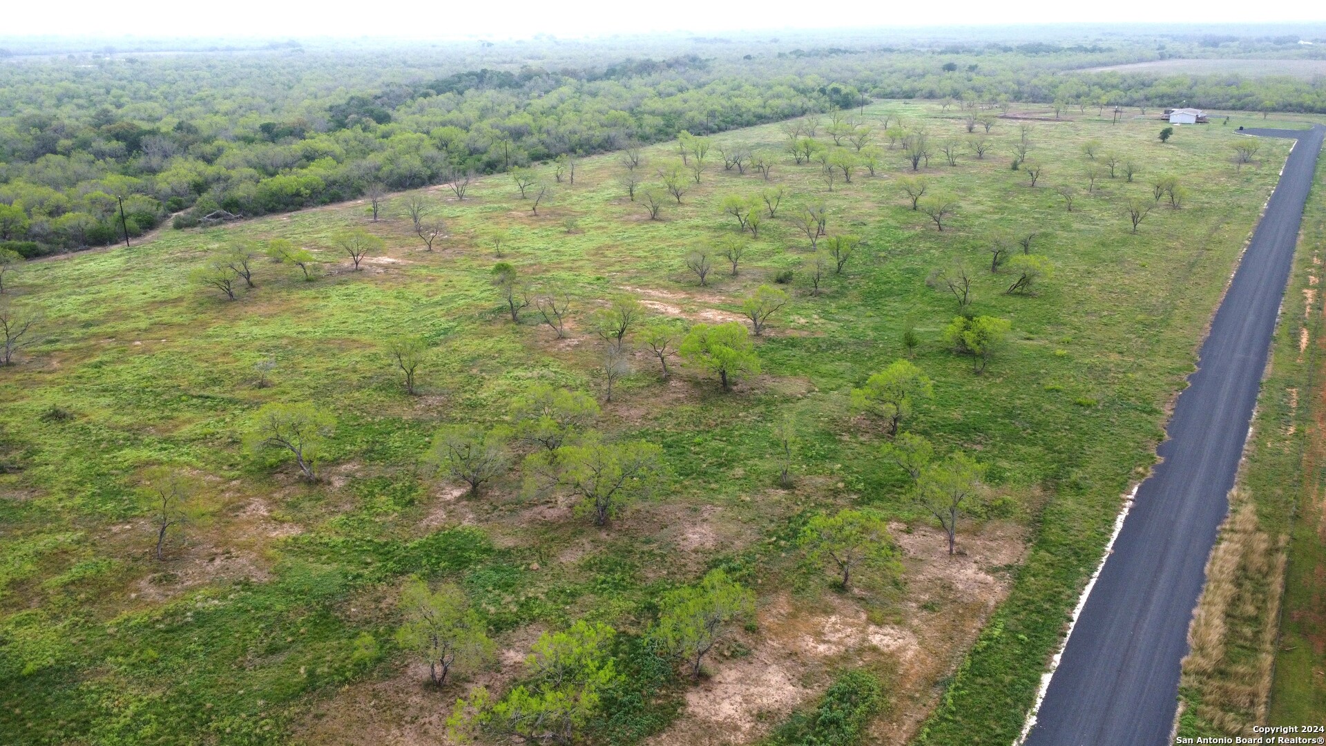 main property photo 12