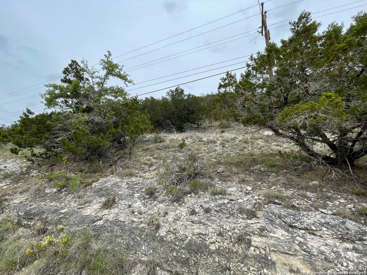 main property photo 11