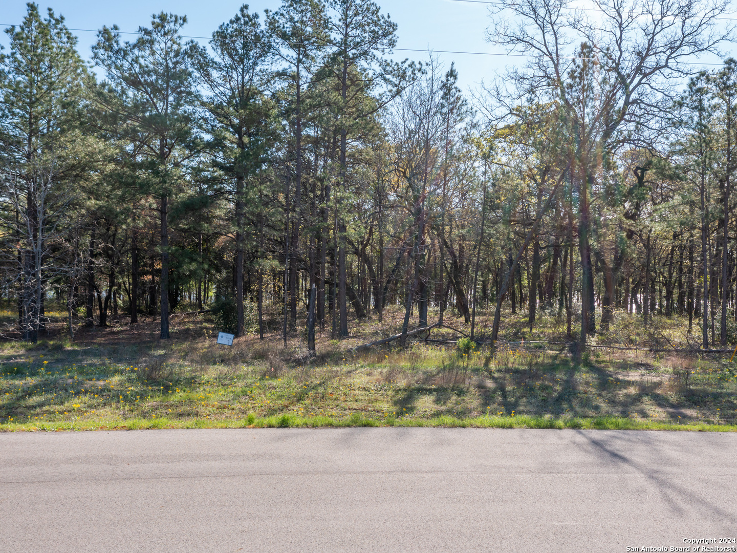 main property photo 10