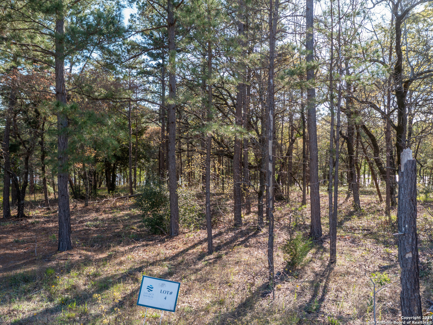 main property photo 12