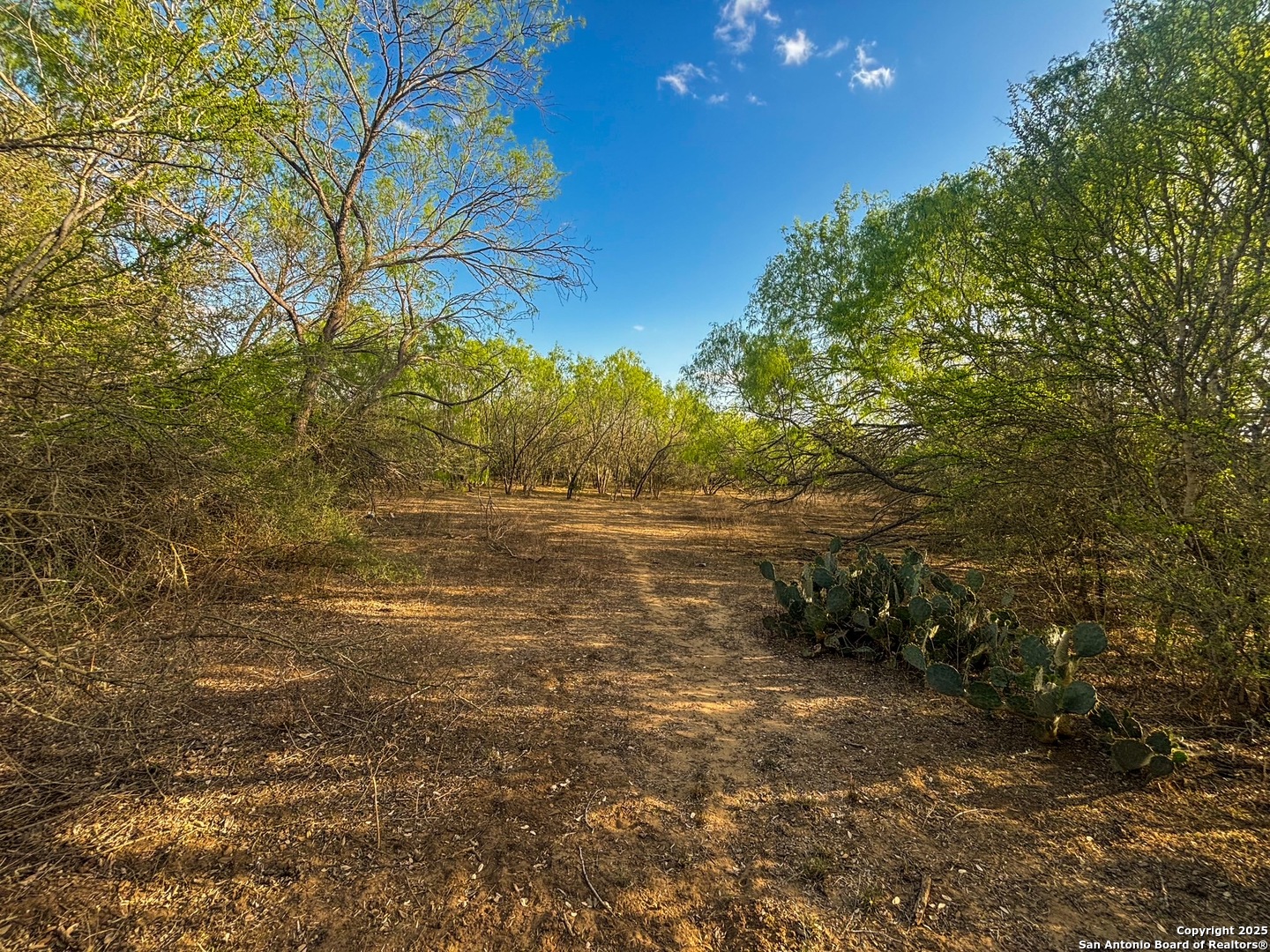 main property photo 9