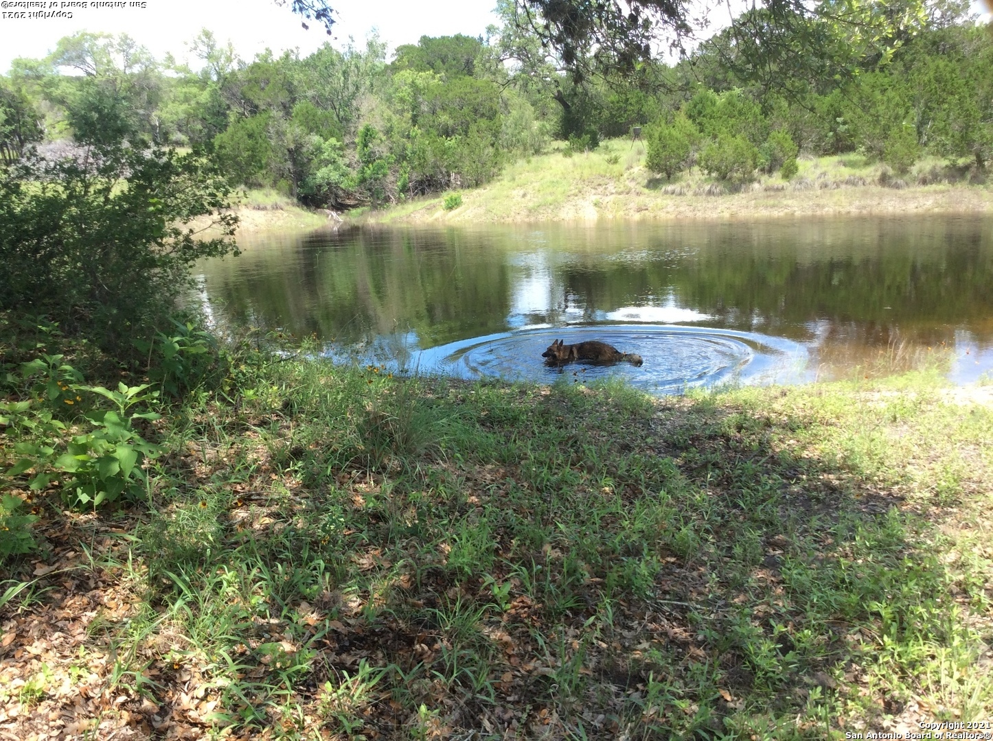main property photo 40