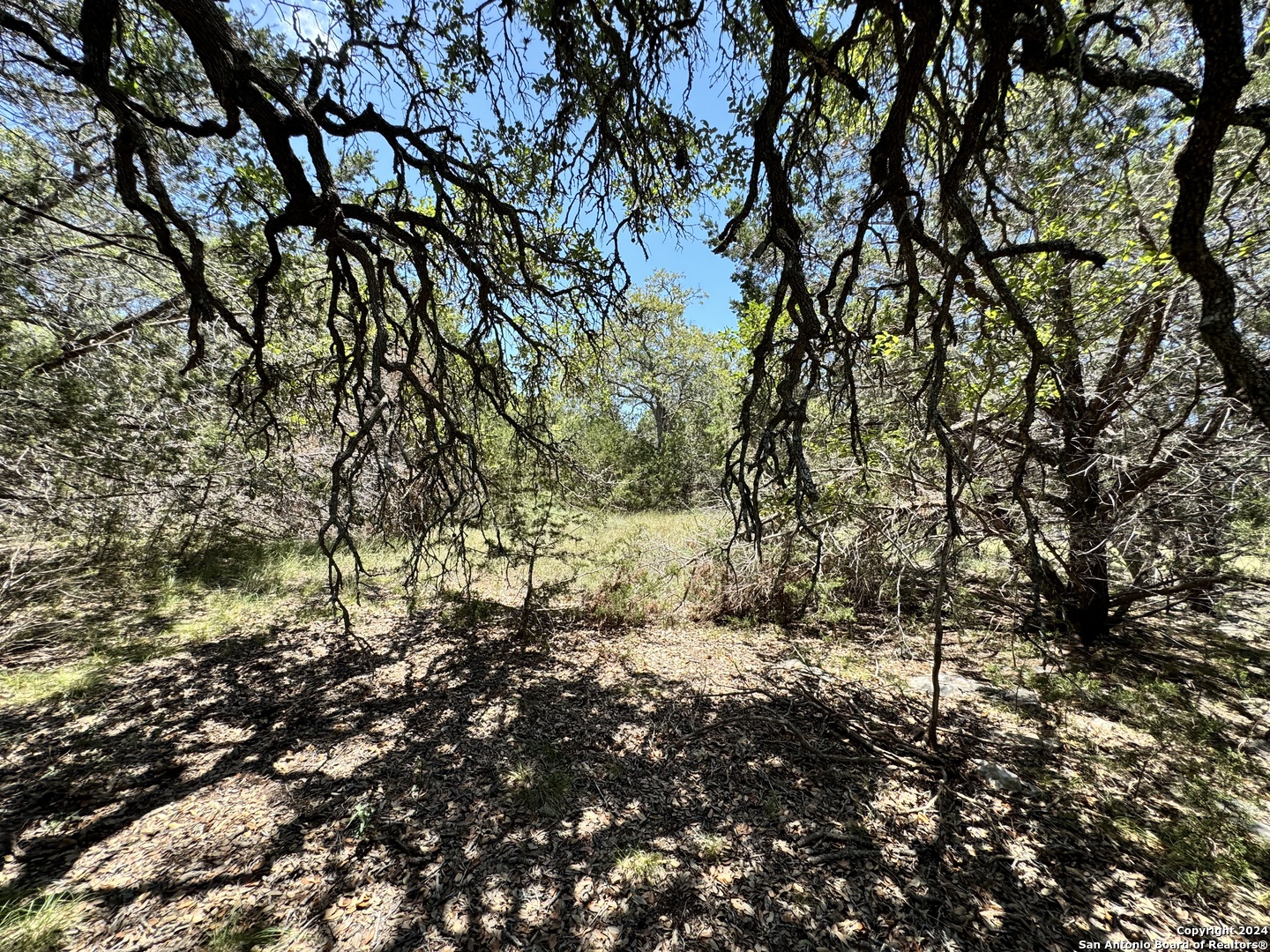 main property photo 10