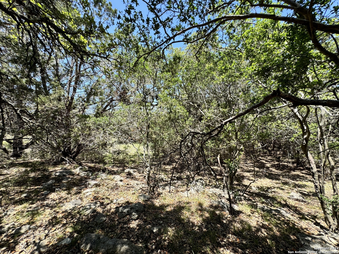 main property photo 11