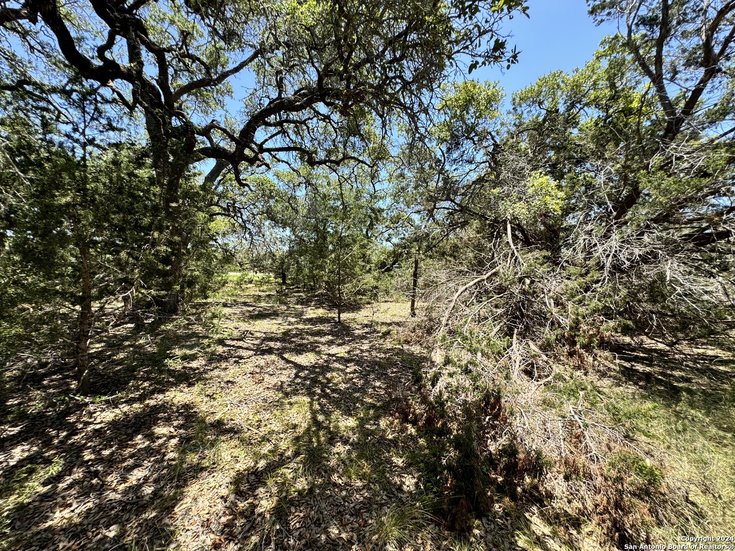 main property photo 15