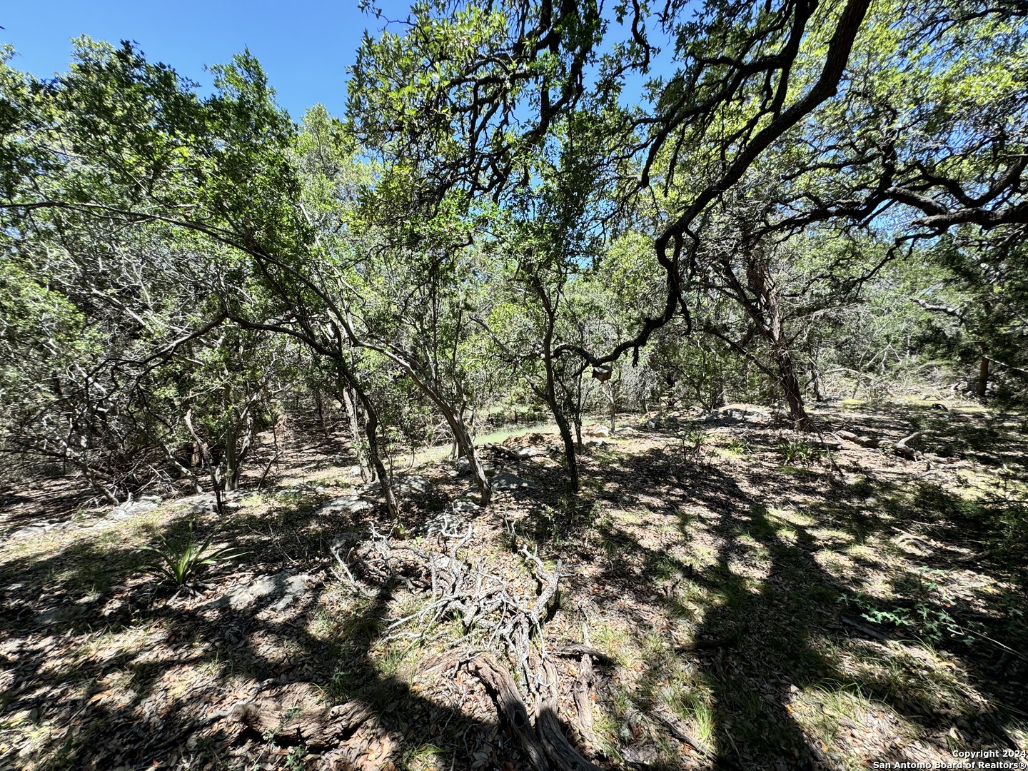 main property photo 9