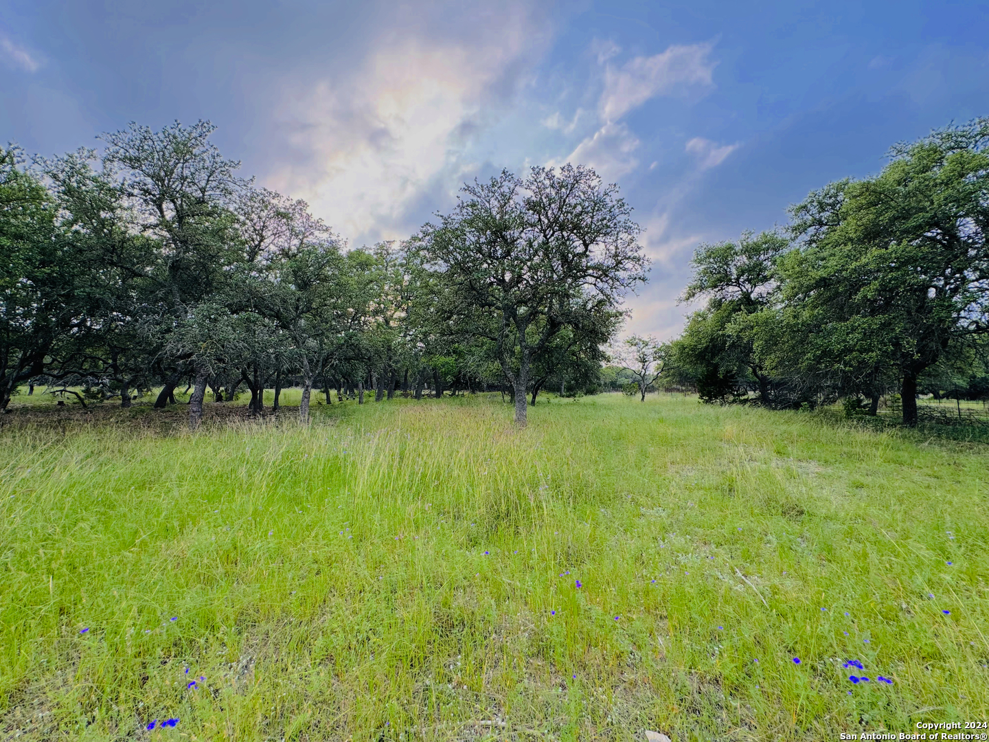 main property photo 10