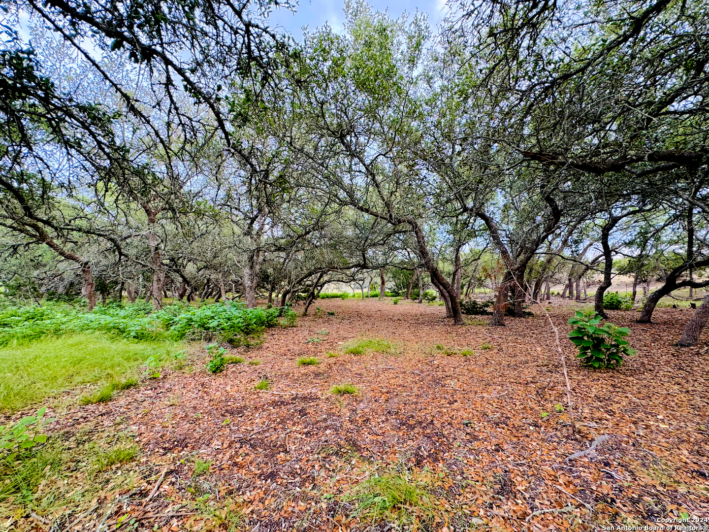 main property photo 11
