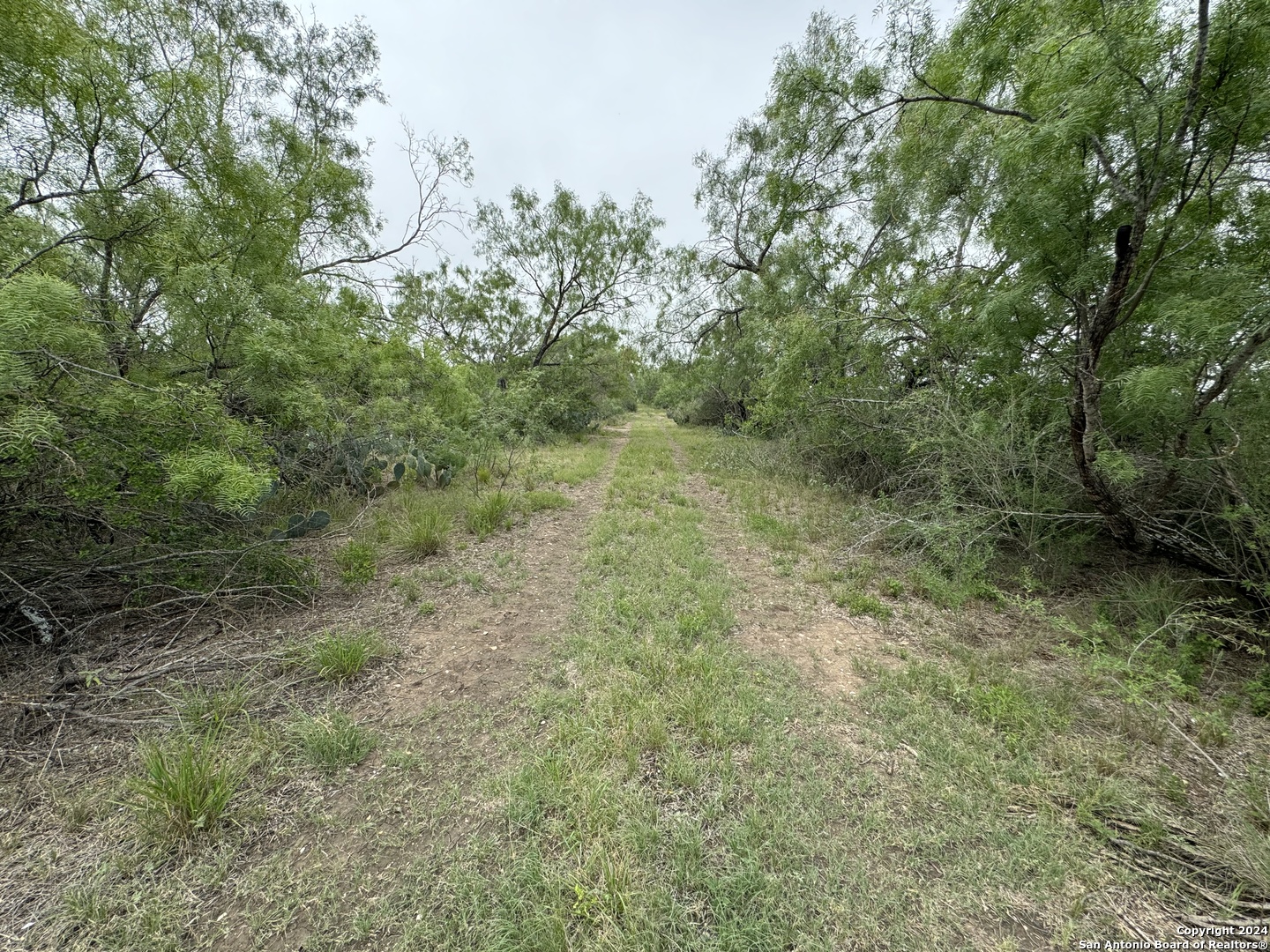 main property photo 35