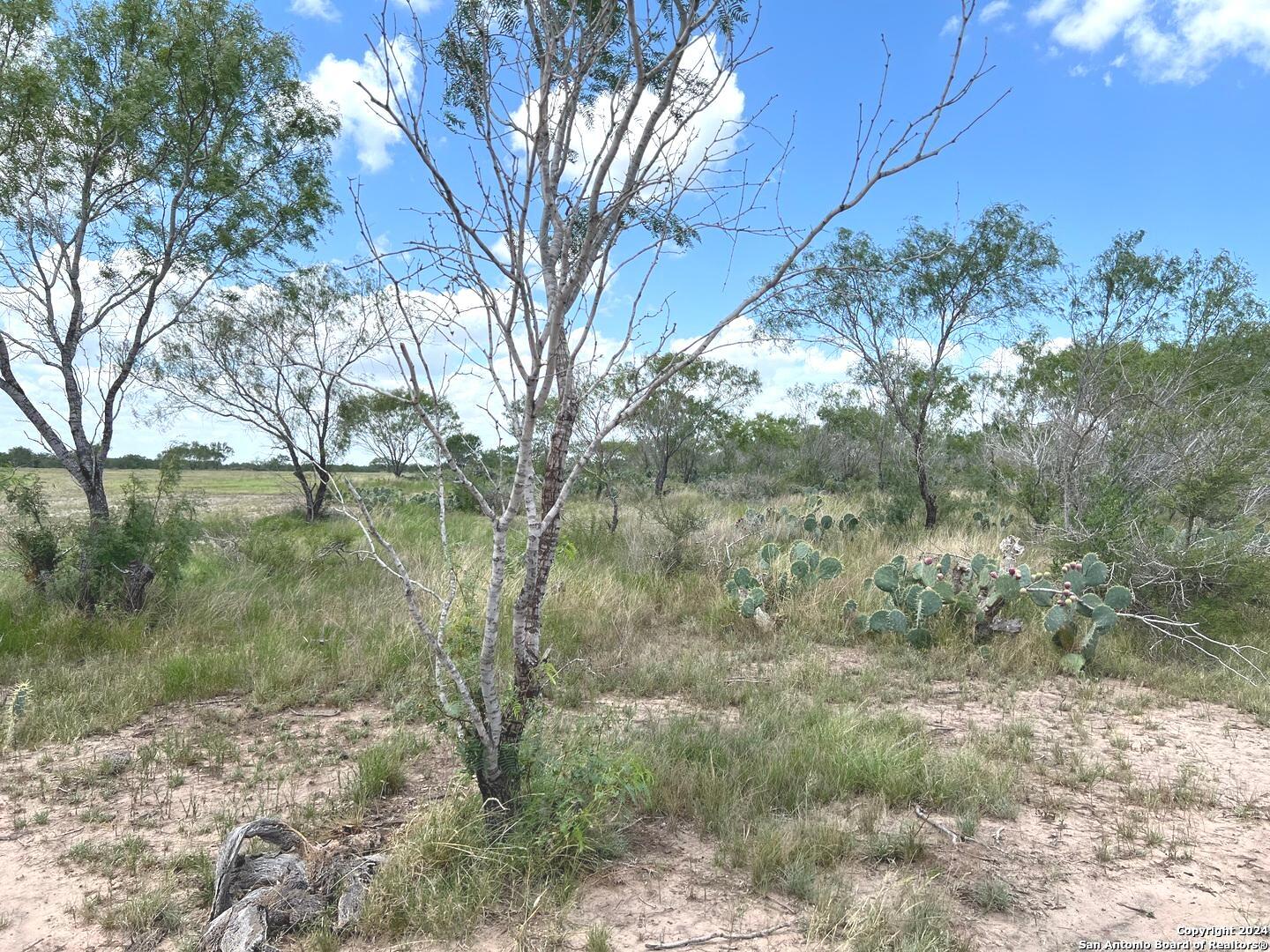main property photo 11