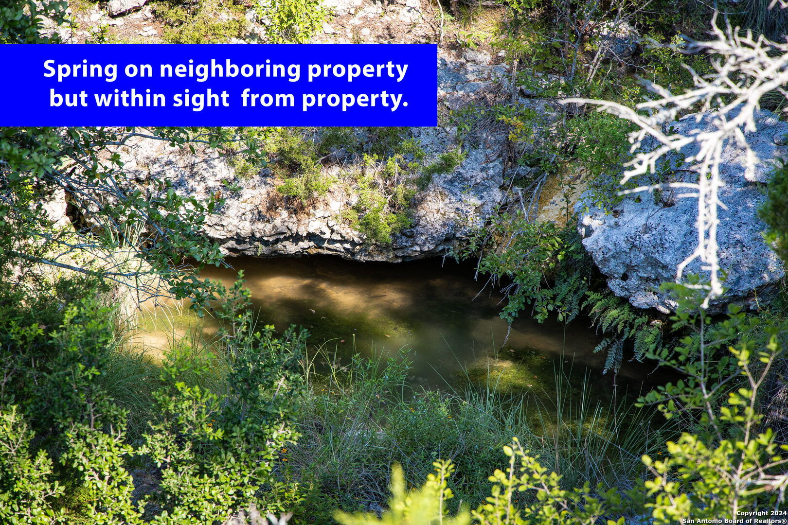 main property photo 13