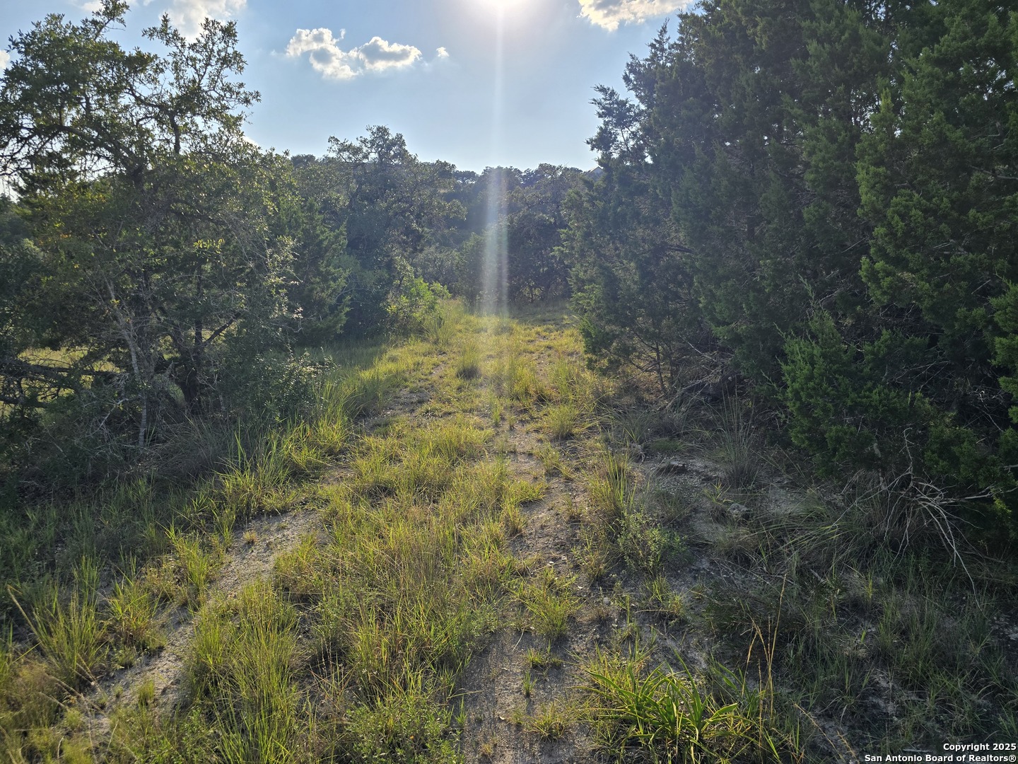 main property photo 24