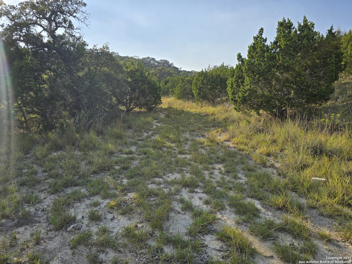 main property photo 25