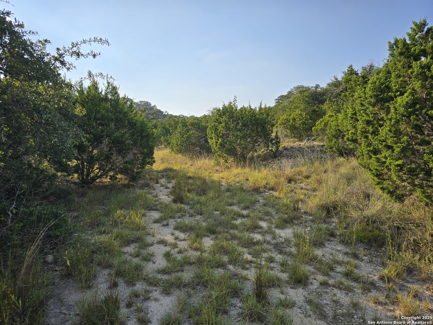main property photo 26