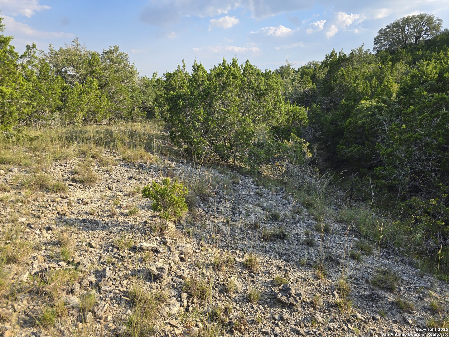 main property photo 31