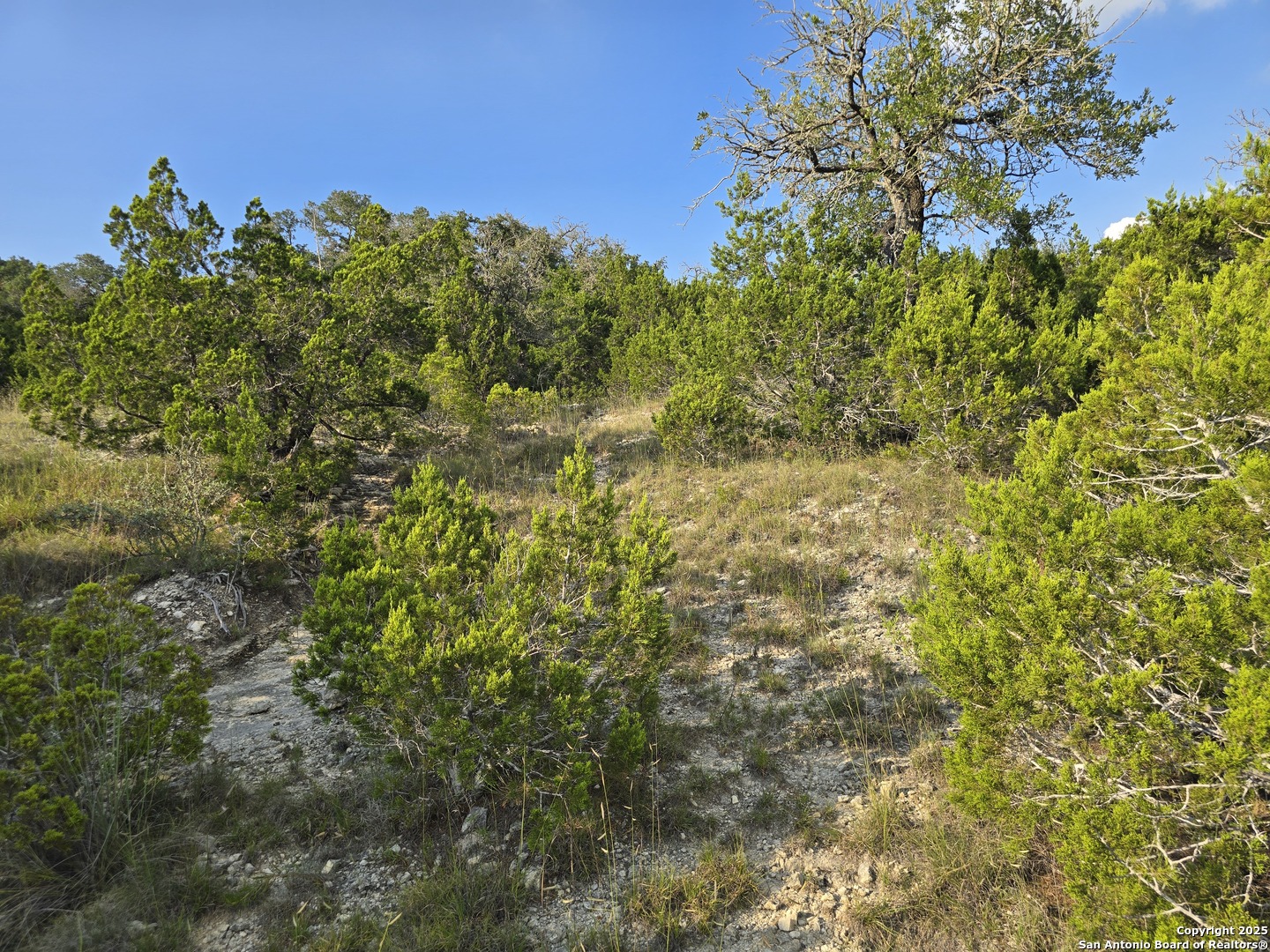 main property photo 34