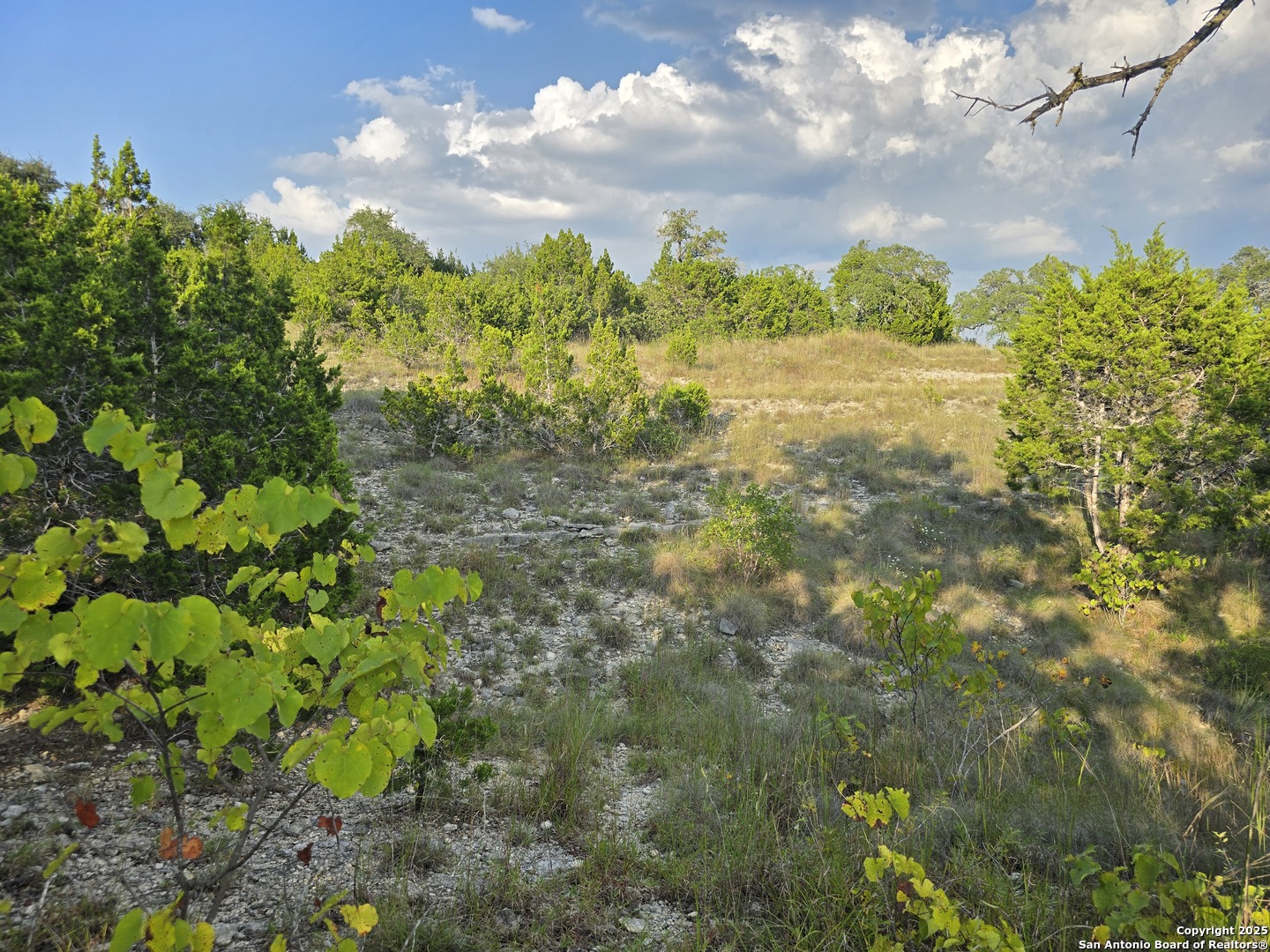 main property photo 36