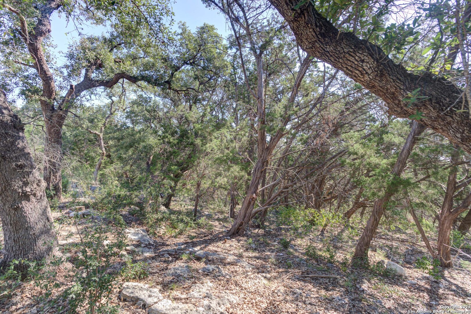 main property photo 16