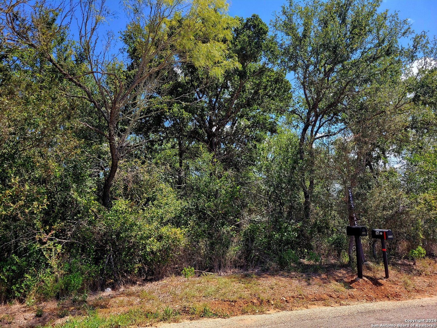 main property photo 5