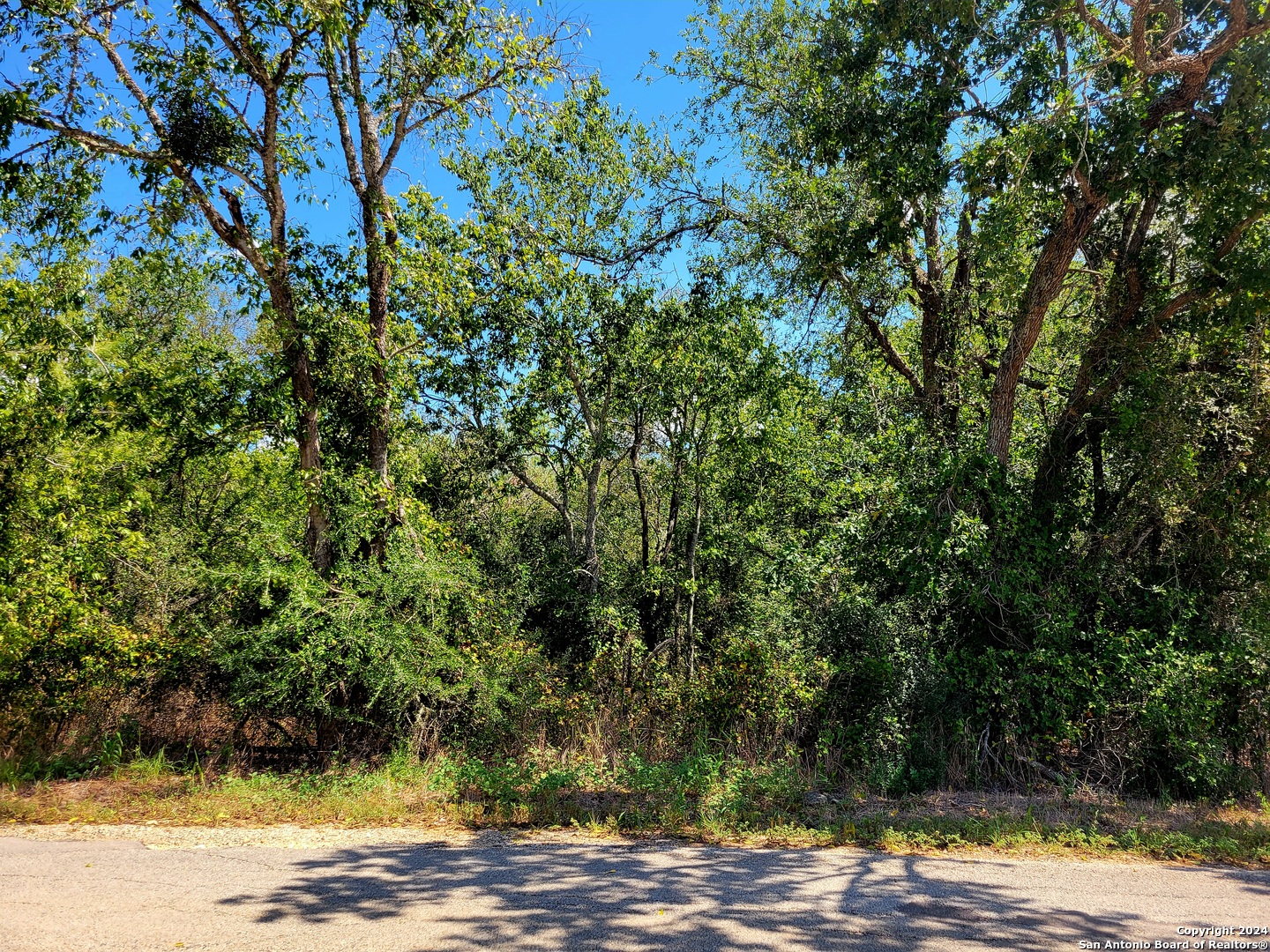 main property photo 11