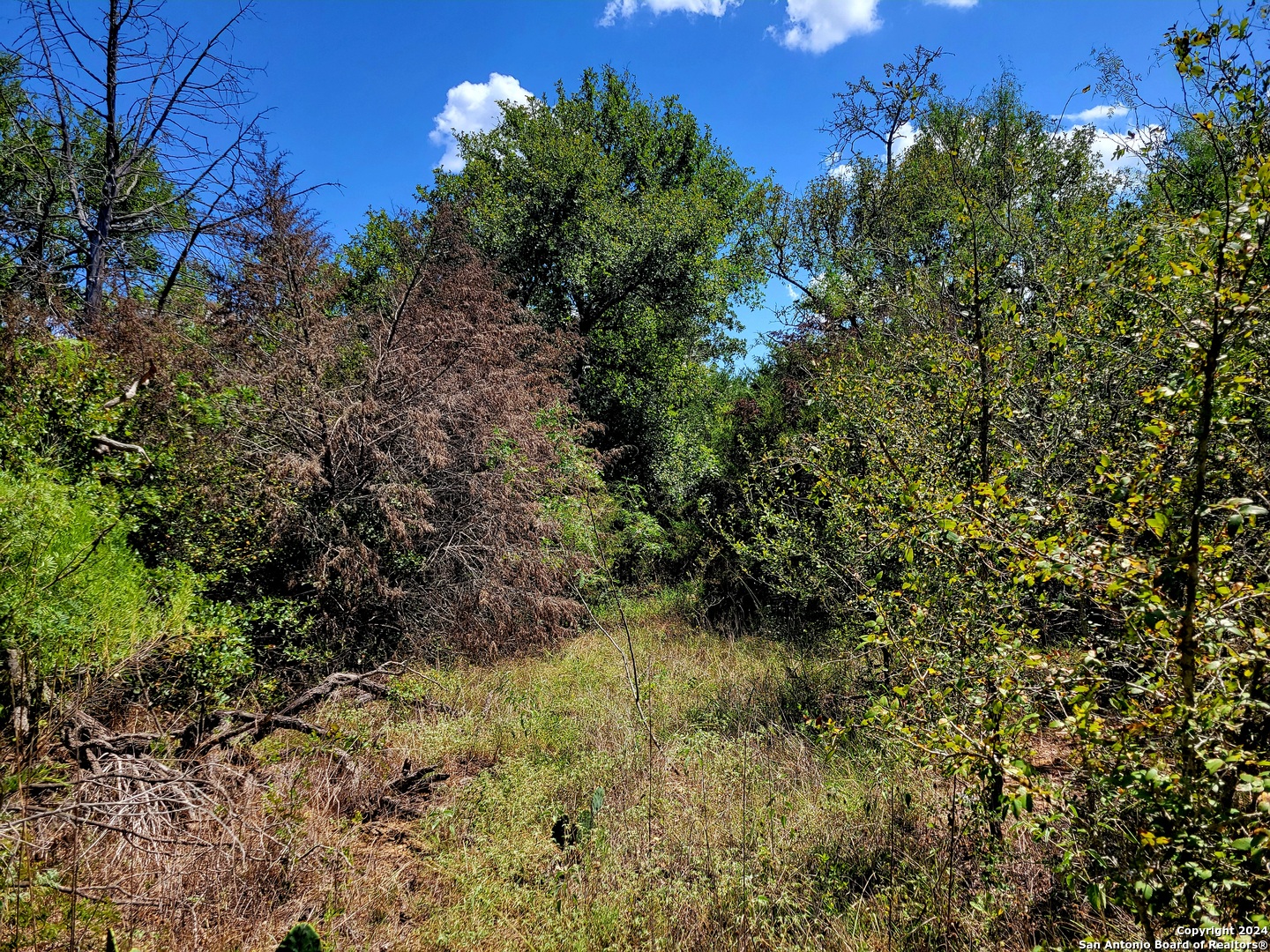 main property photo 18