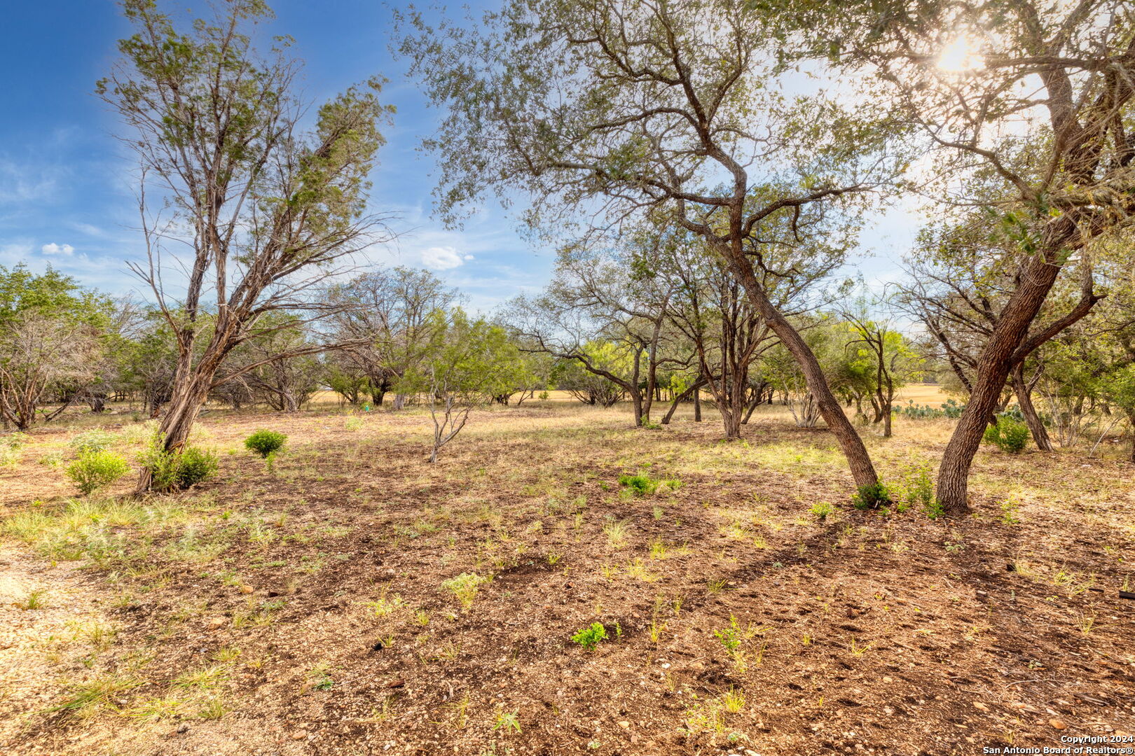 main property photo 41