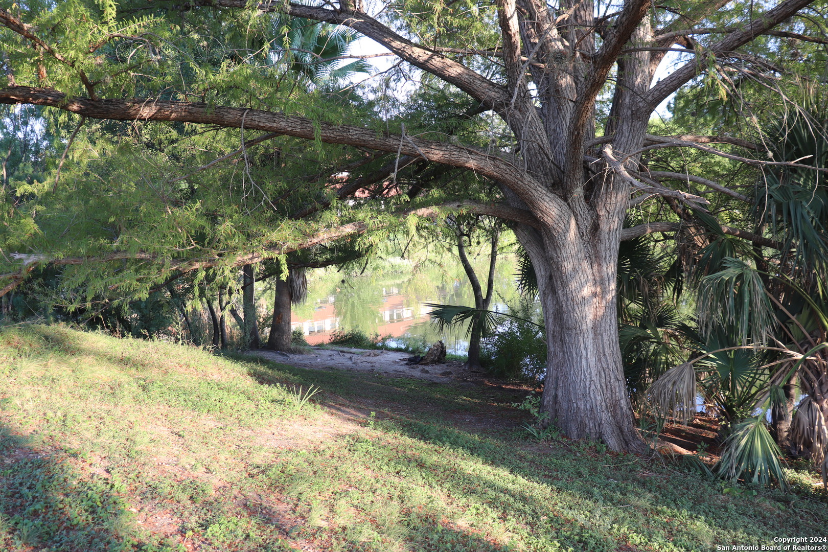main property photo 27
