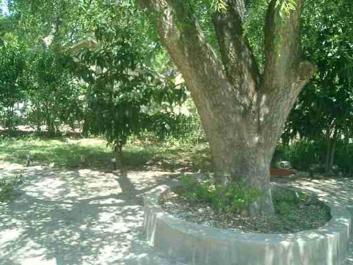 main property photo 17