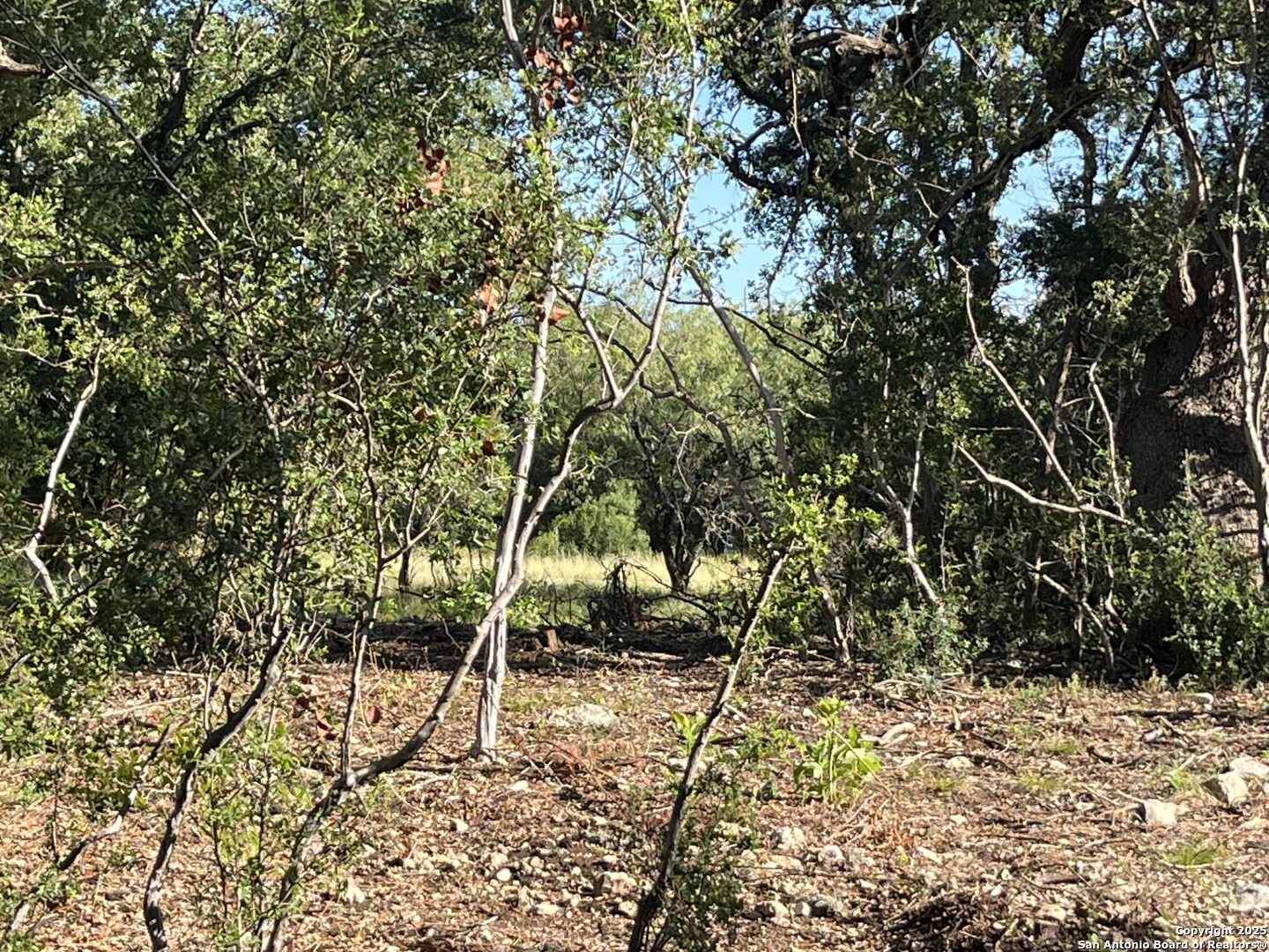main property photo 12