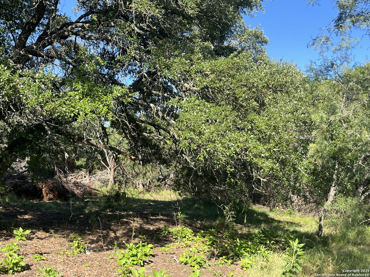 main property photo 15