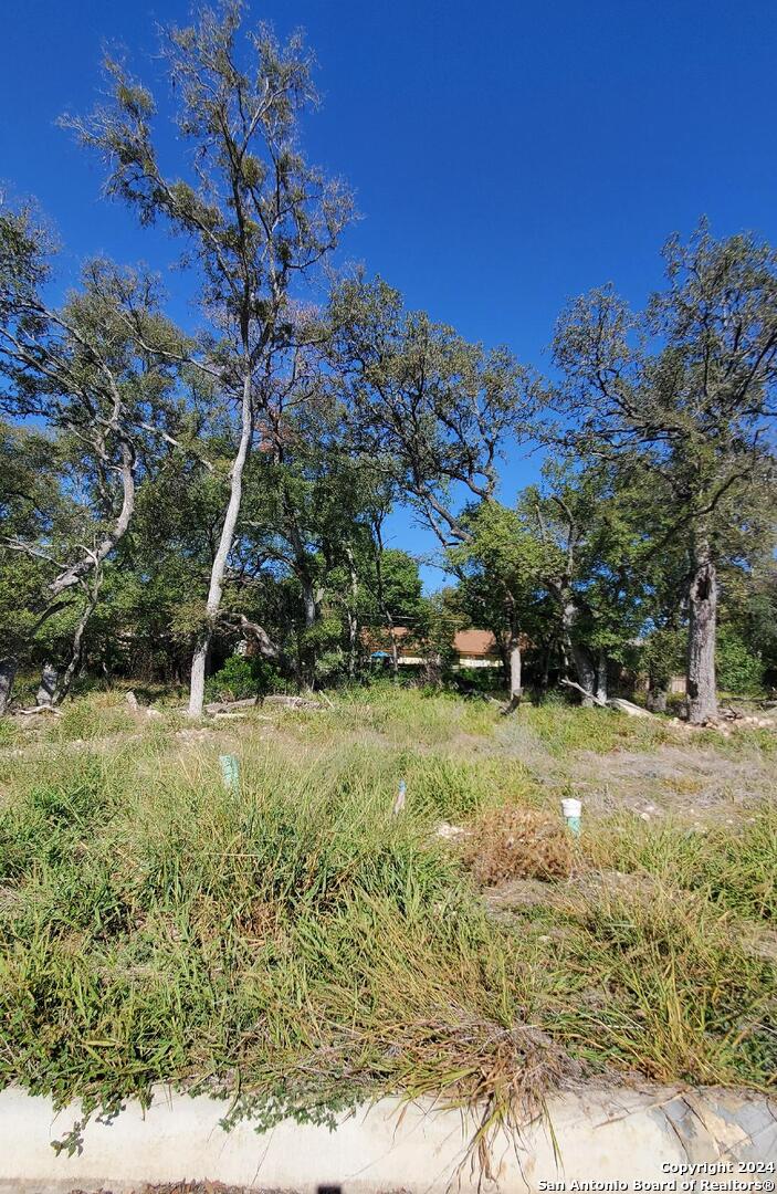 main property photo 13