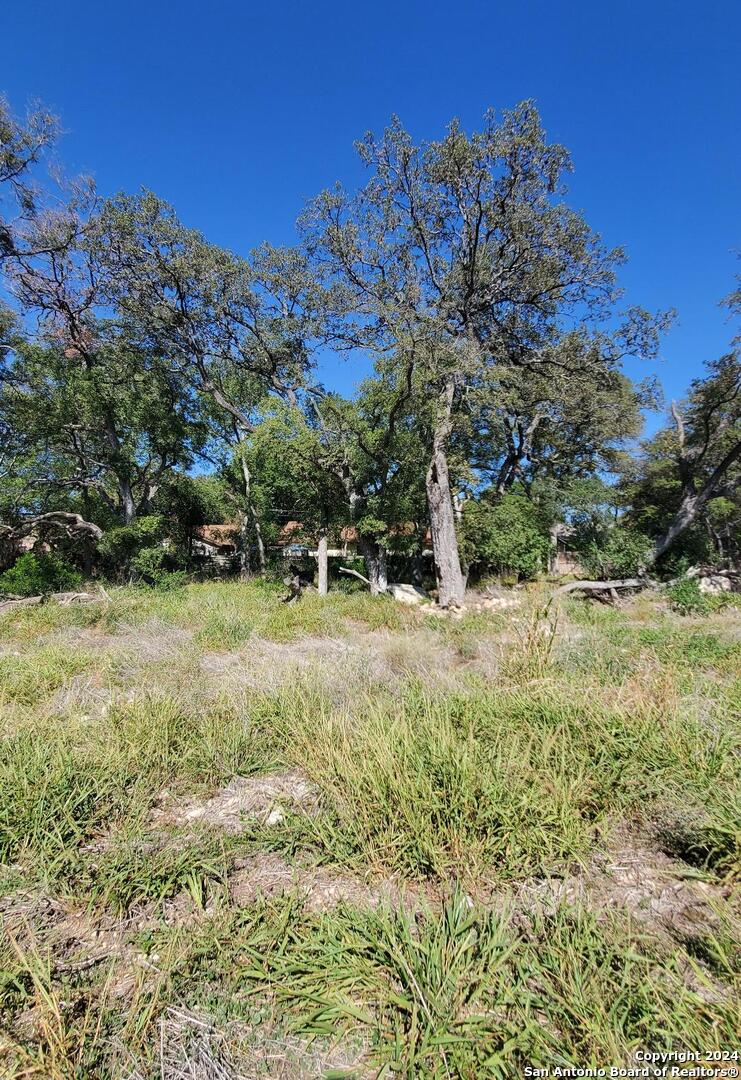 main property photo 14