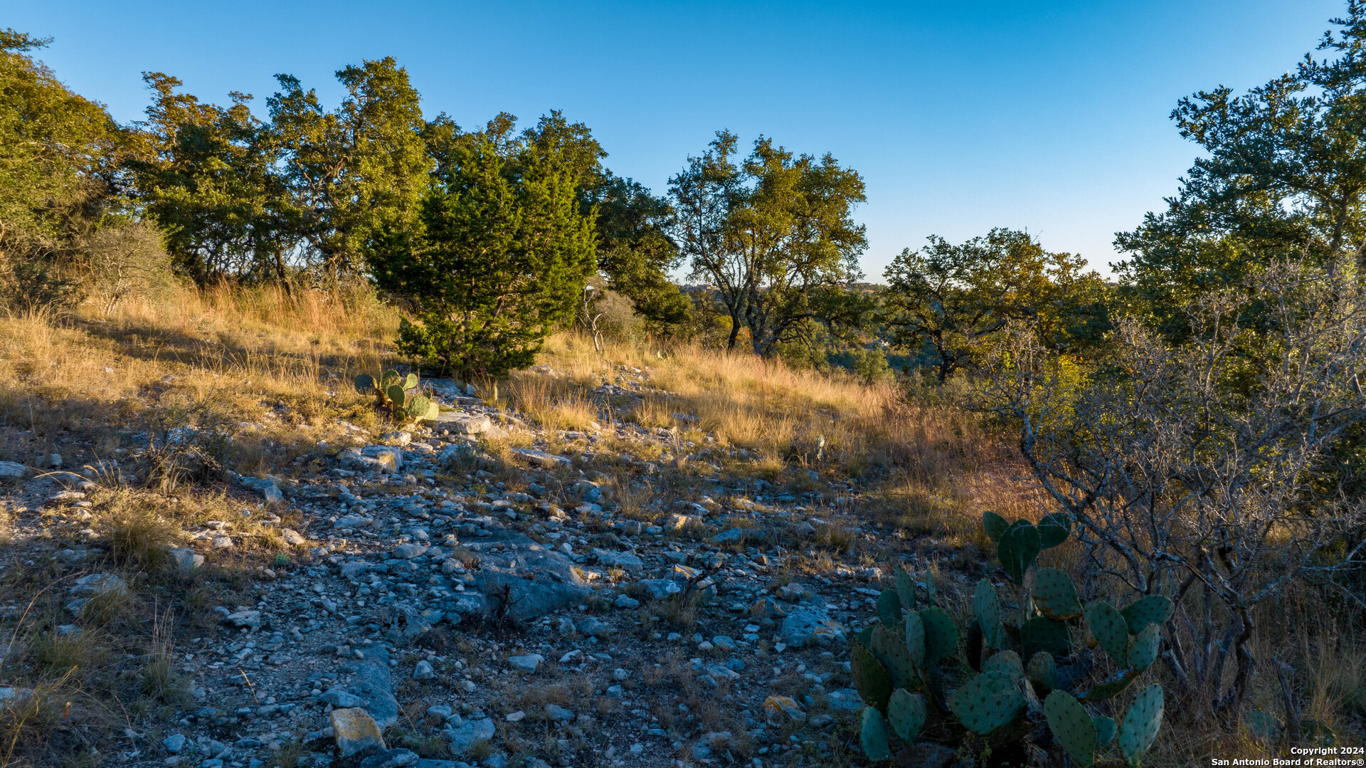 main property photo 47