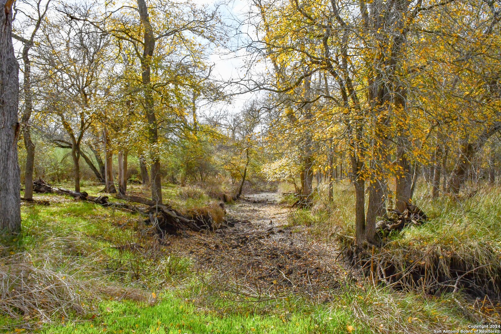 main property photo 6