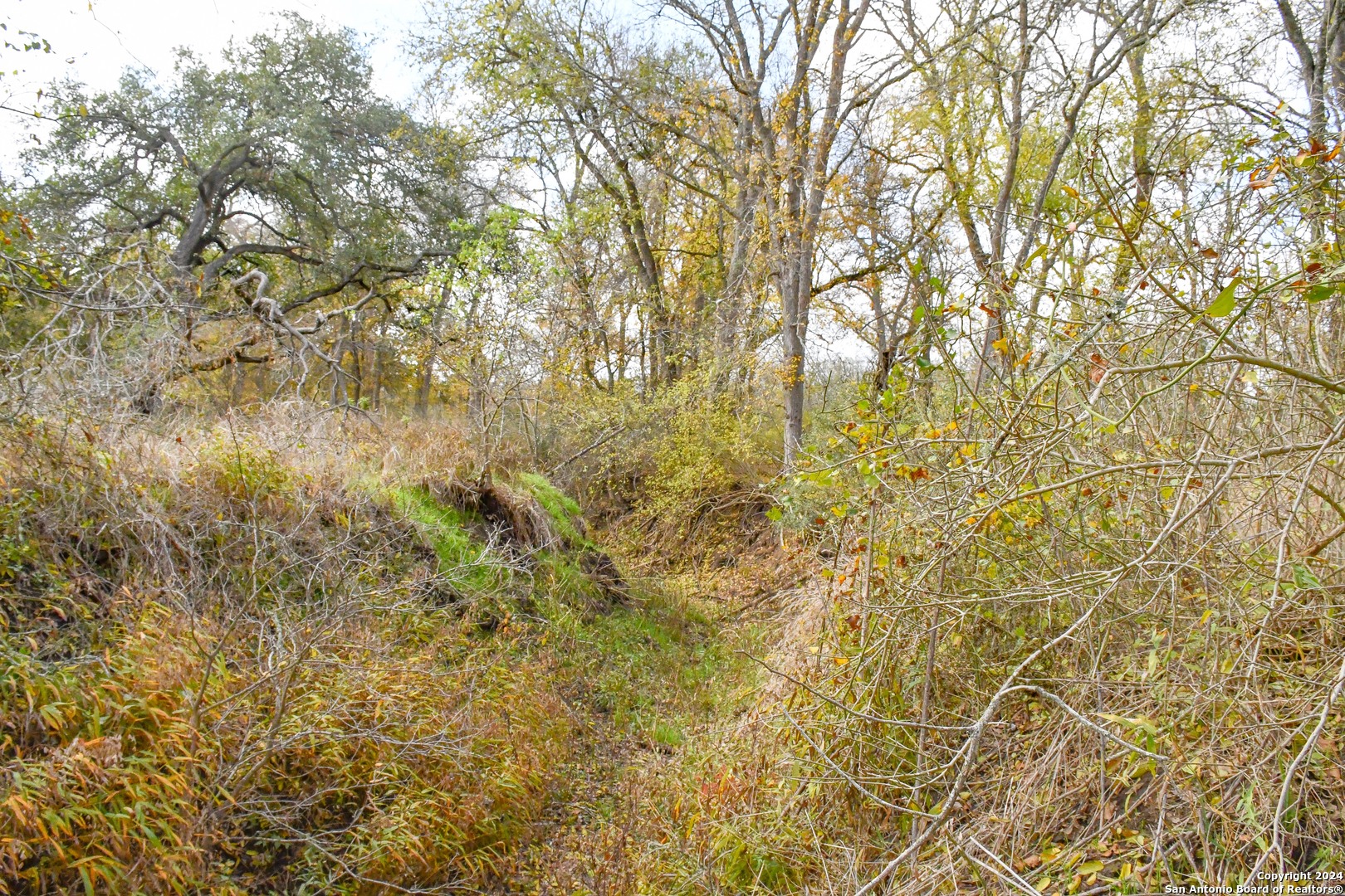 main property photo 7