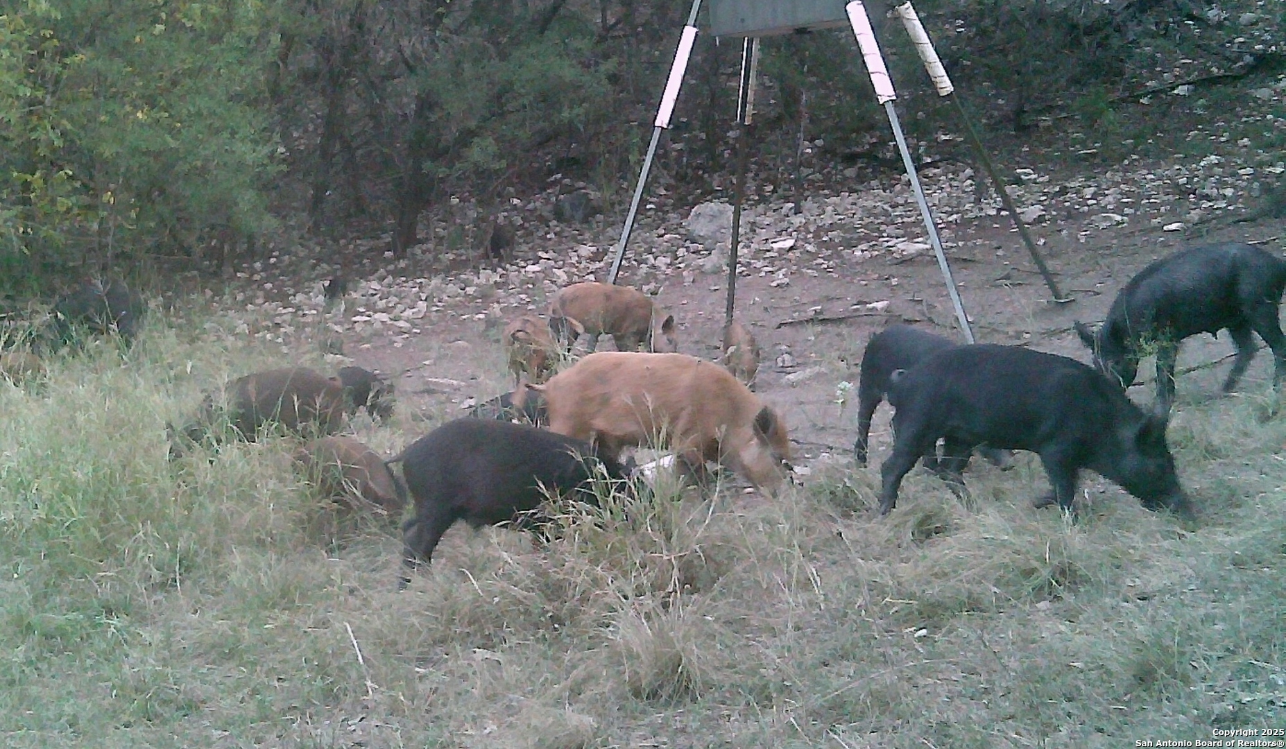 main property photo 32