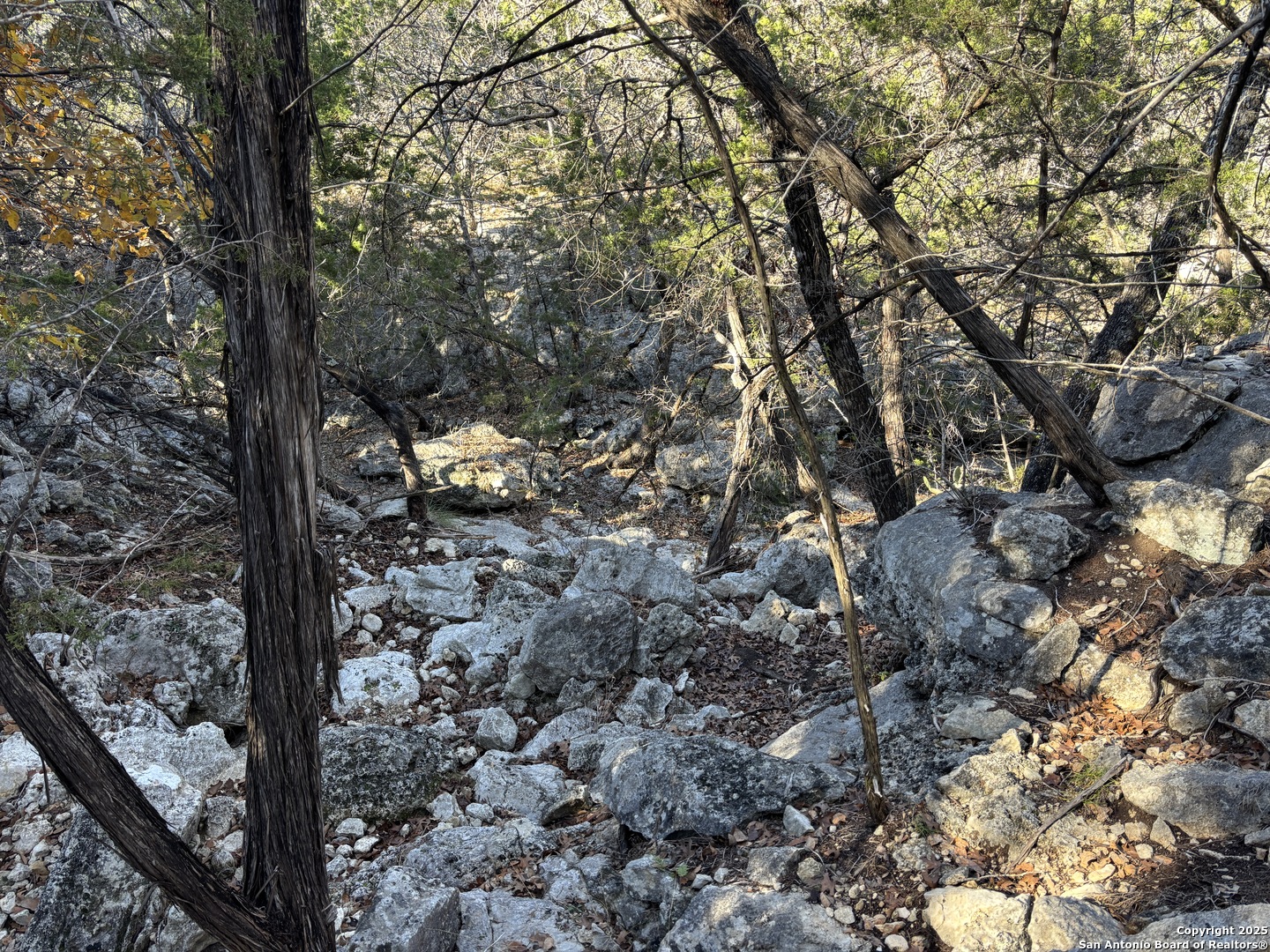 main property photo 29