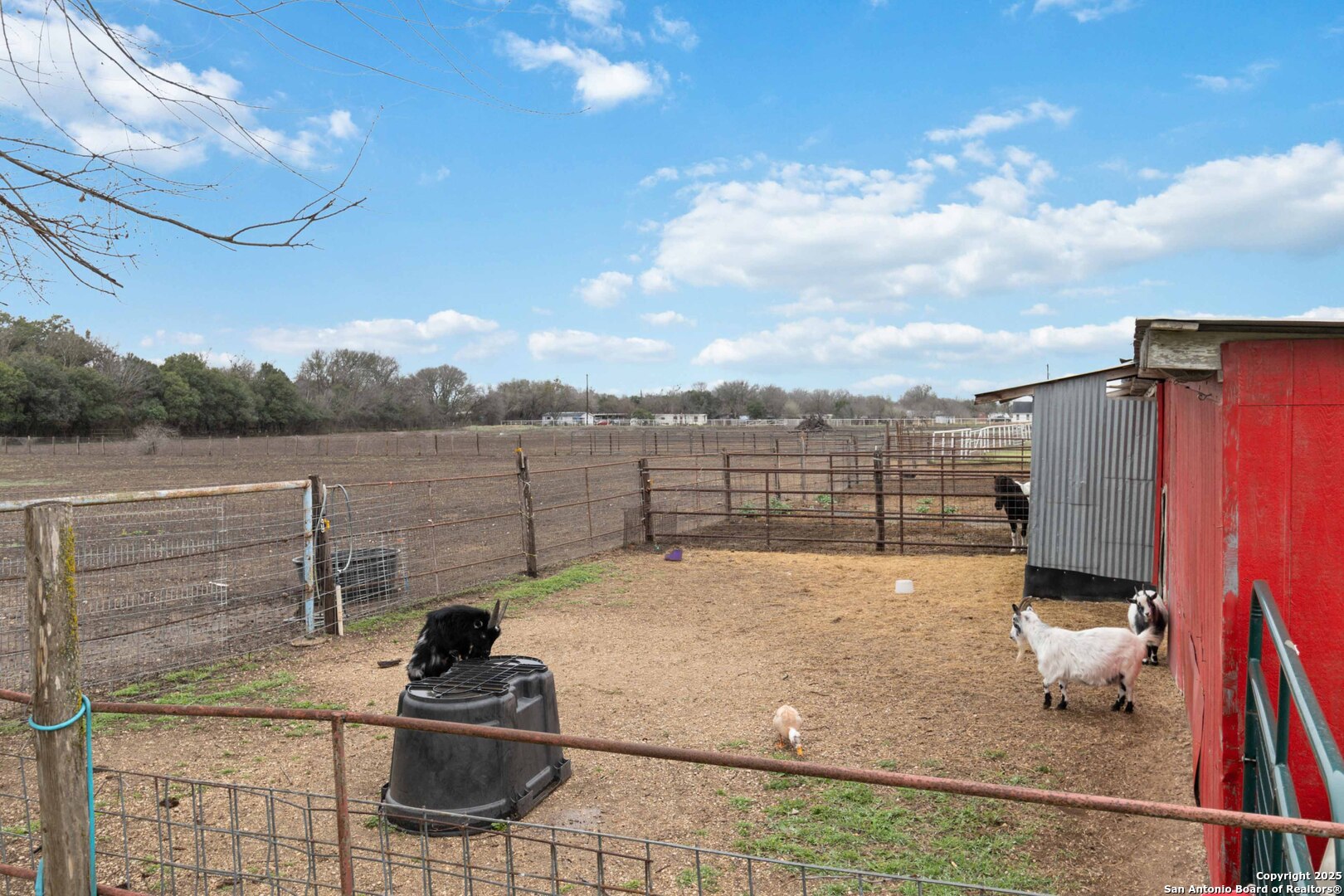 main property photo 26