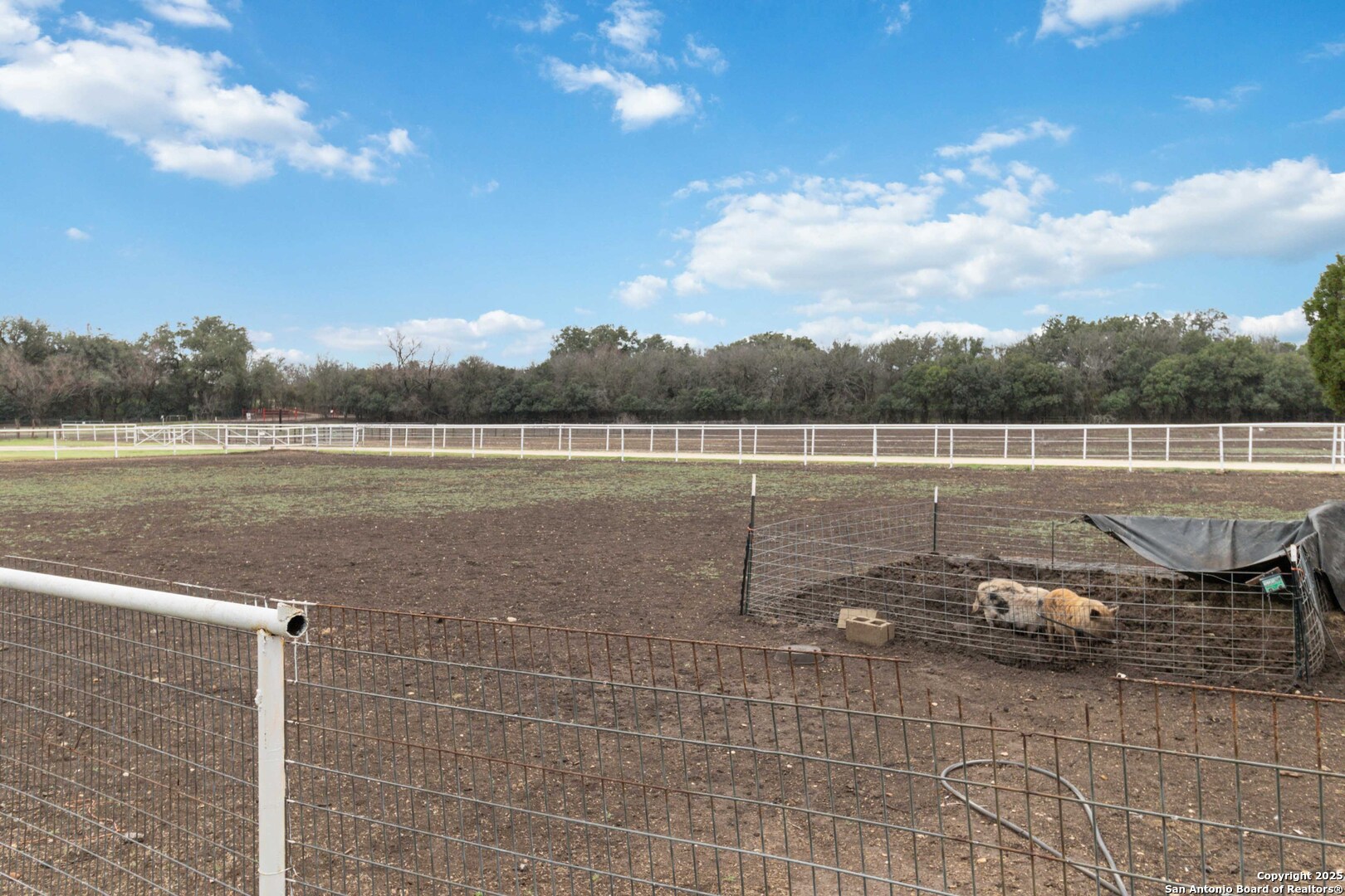 main property photo 12