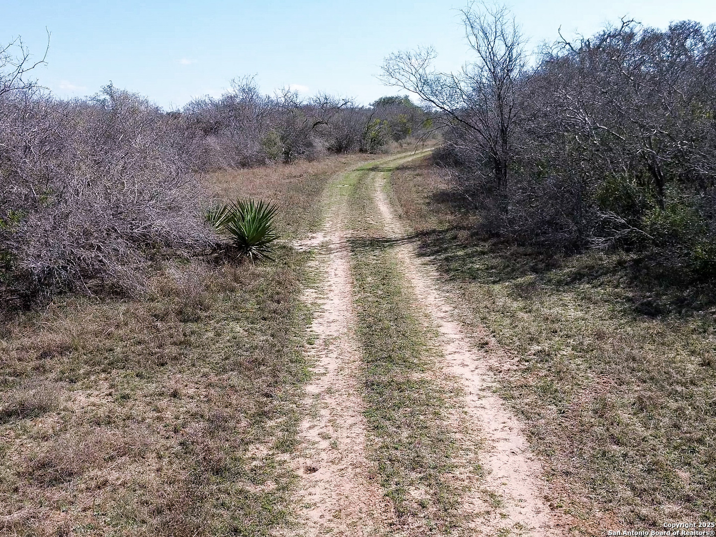 main property photo 6
