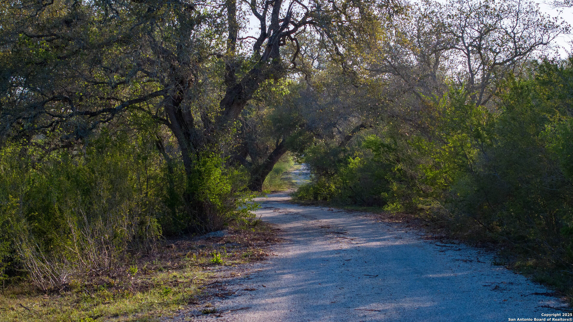 main property photo 64