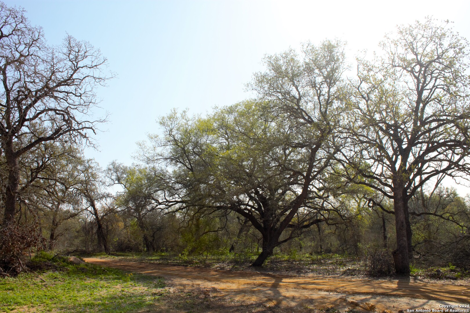 property viewer photo 3