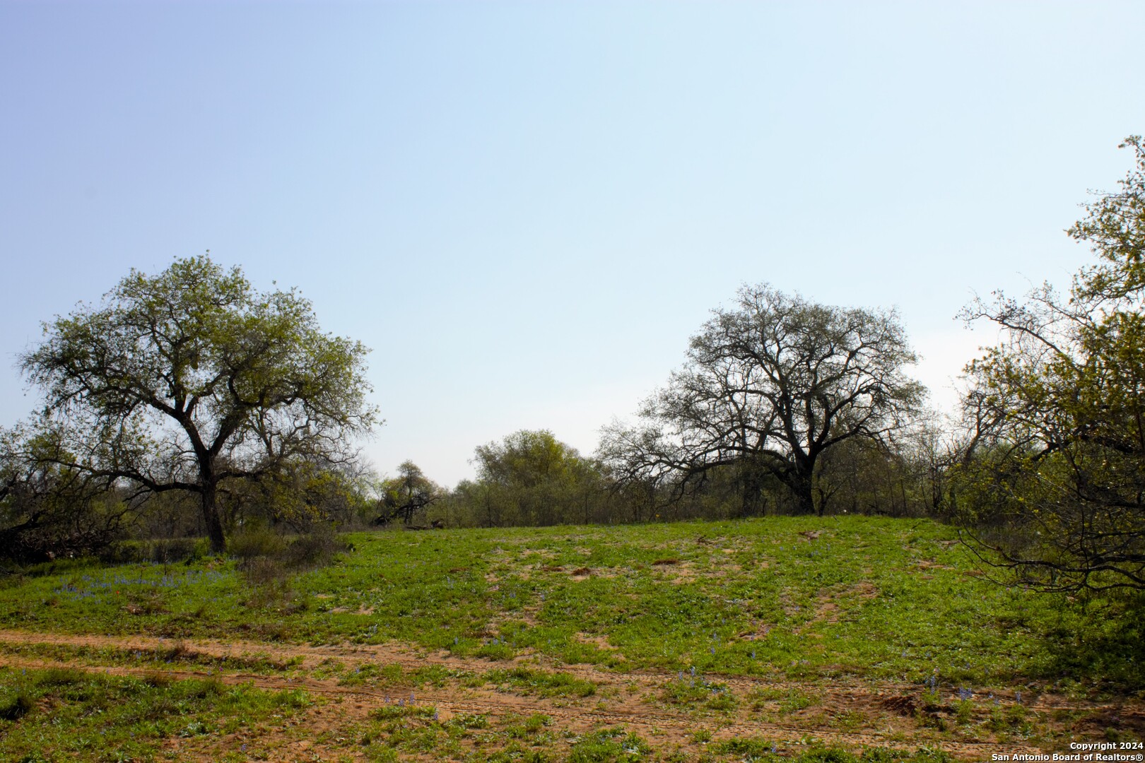 property viewer photo 4
