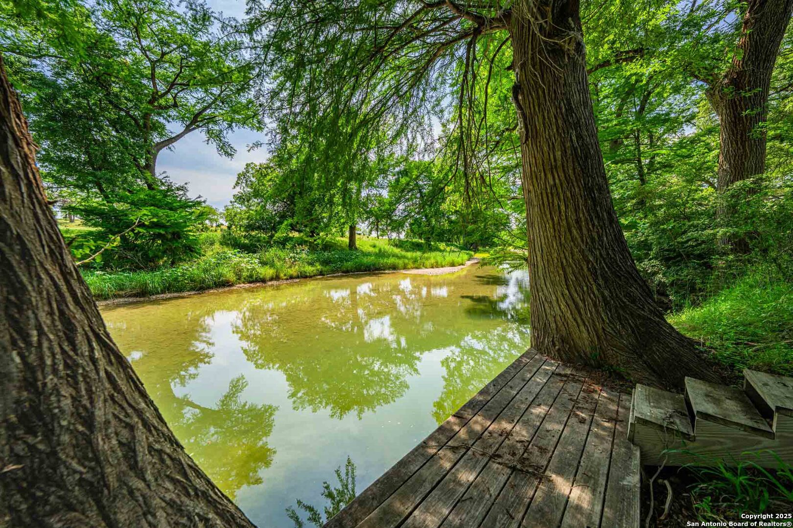 main property photo 7